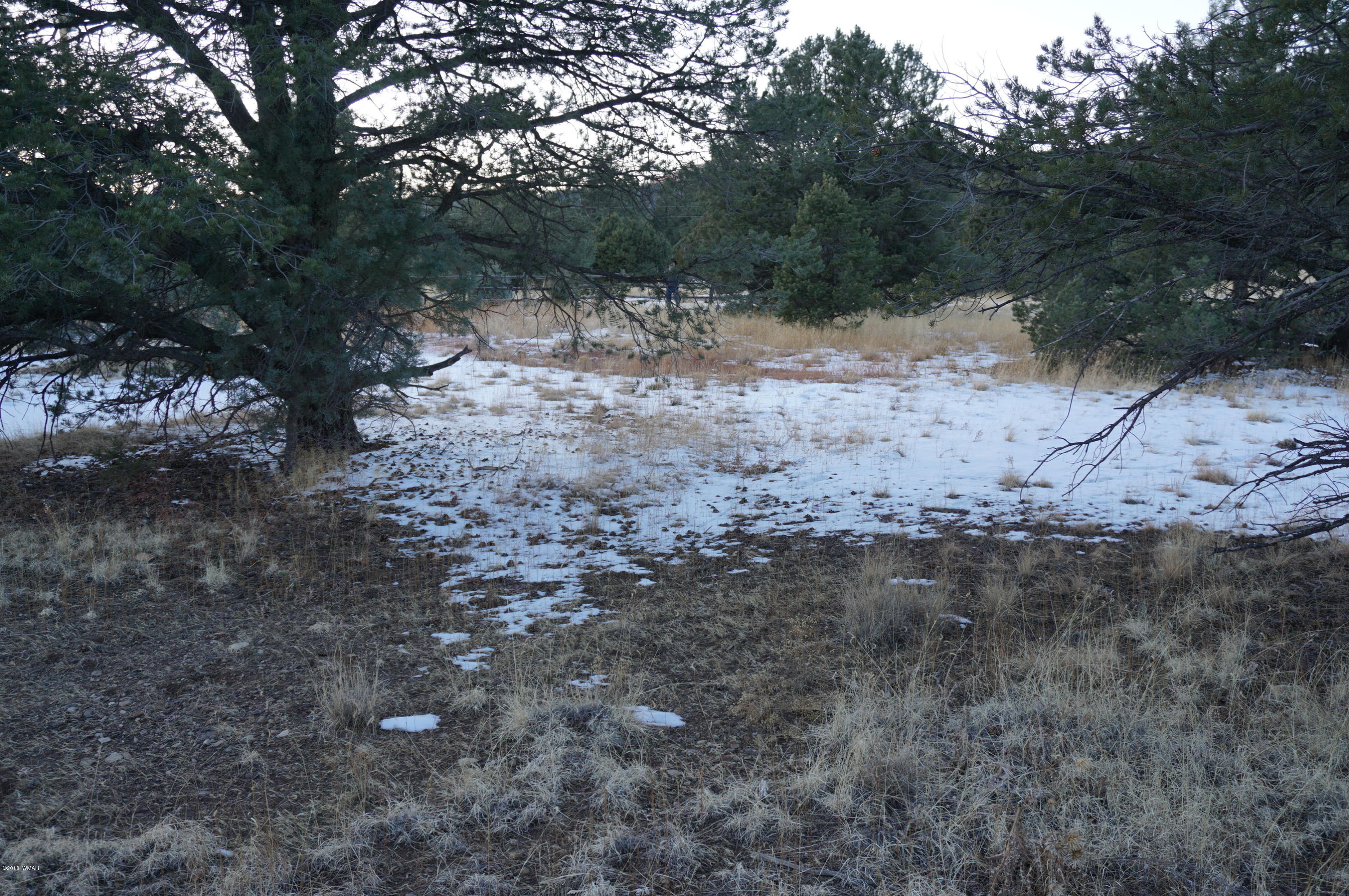 37 Co Road Springerville, AZ 85938 - Photo 20 of 37