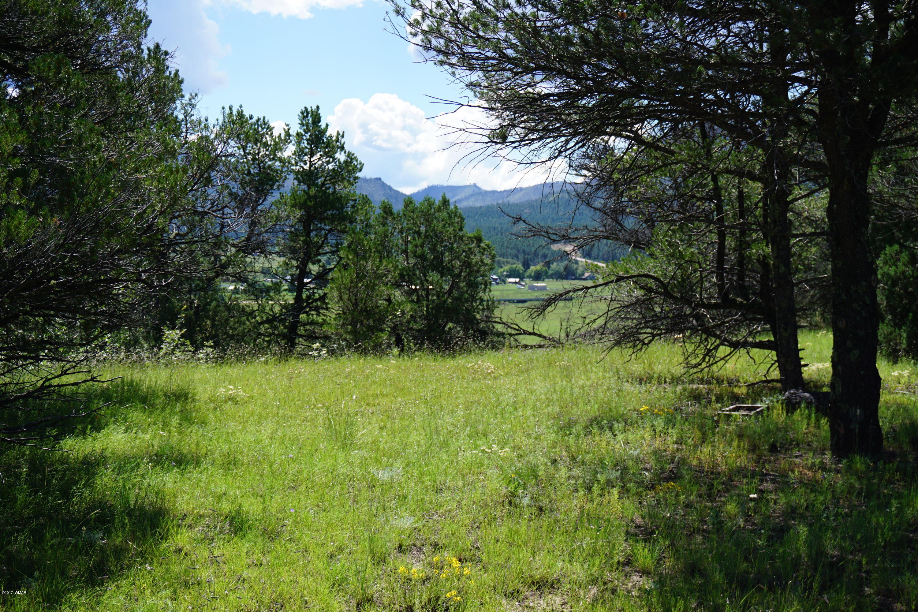 37 Co Road Springerville, AZ 85938 - Photo 2 of 37