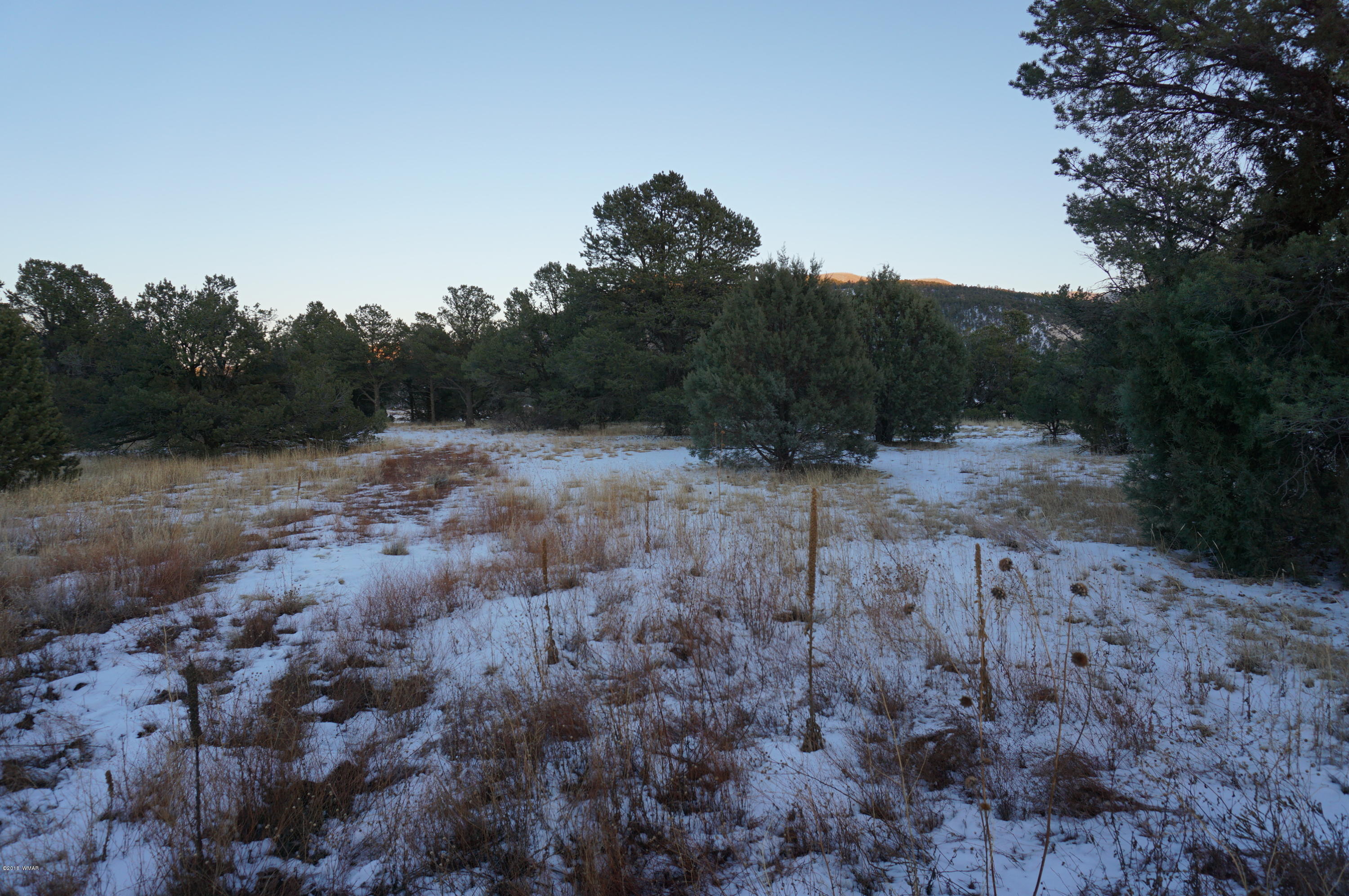 37 Co Road Springerville, AZ 85938 - Photo 22 of 37