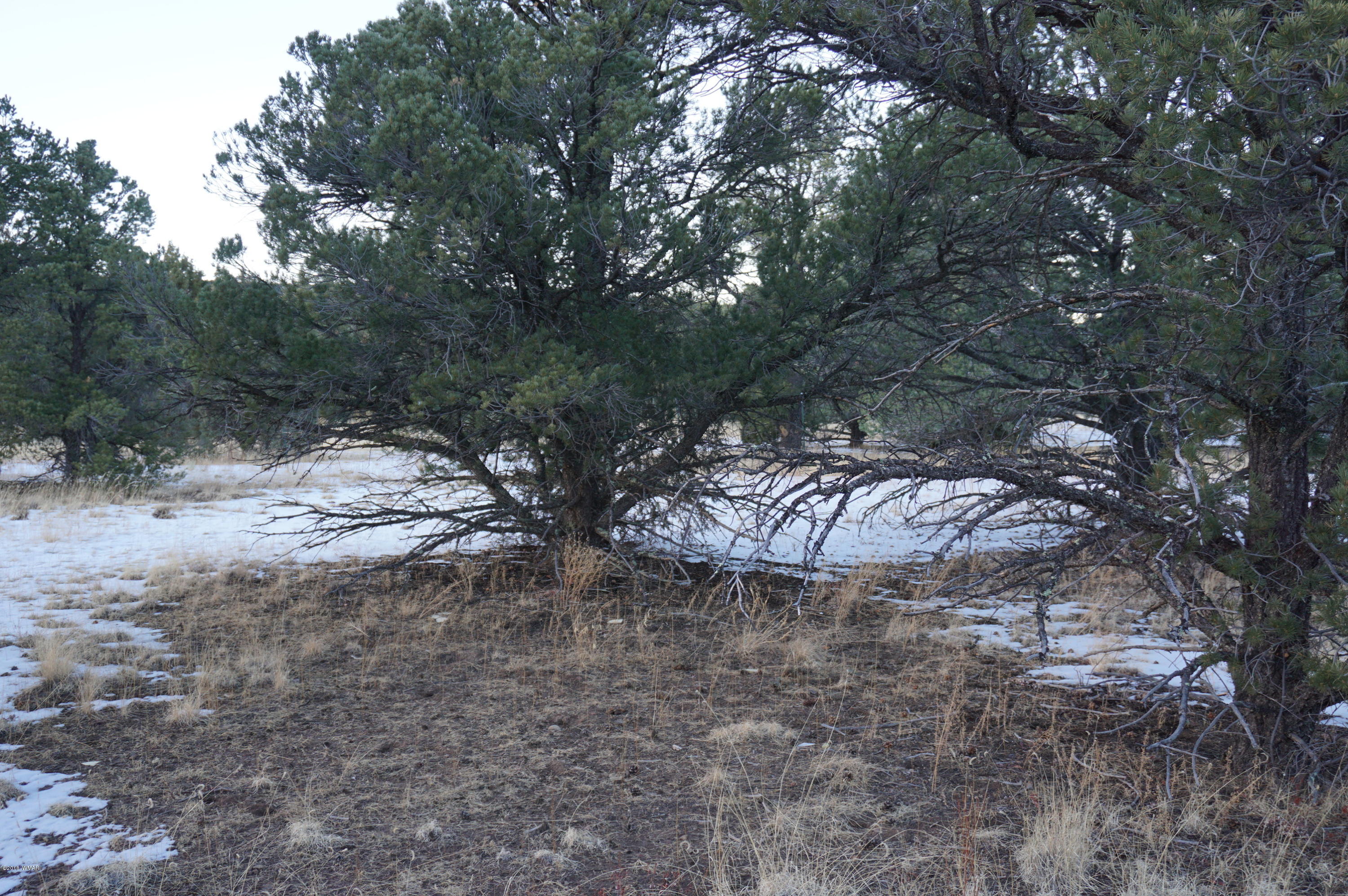 37 Co Road Springerville, AZ 85938 - Photo 23 of 37