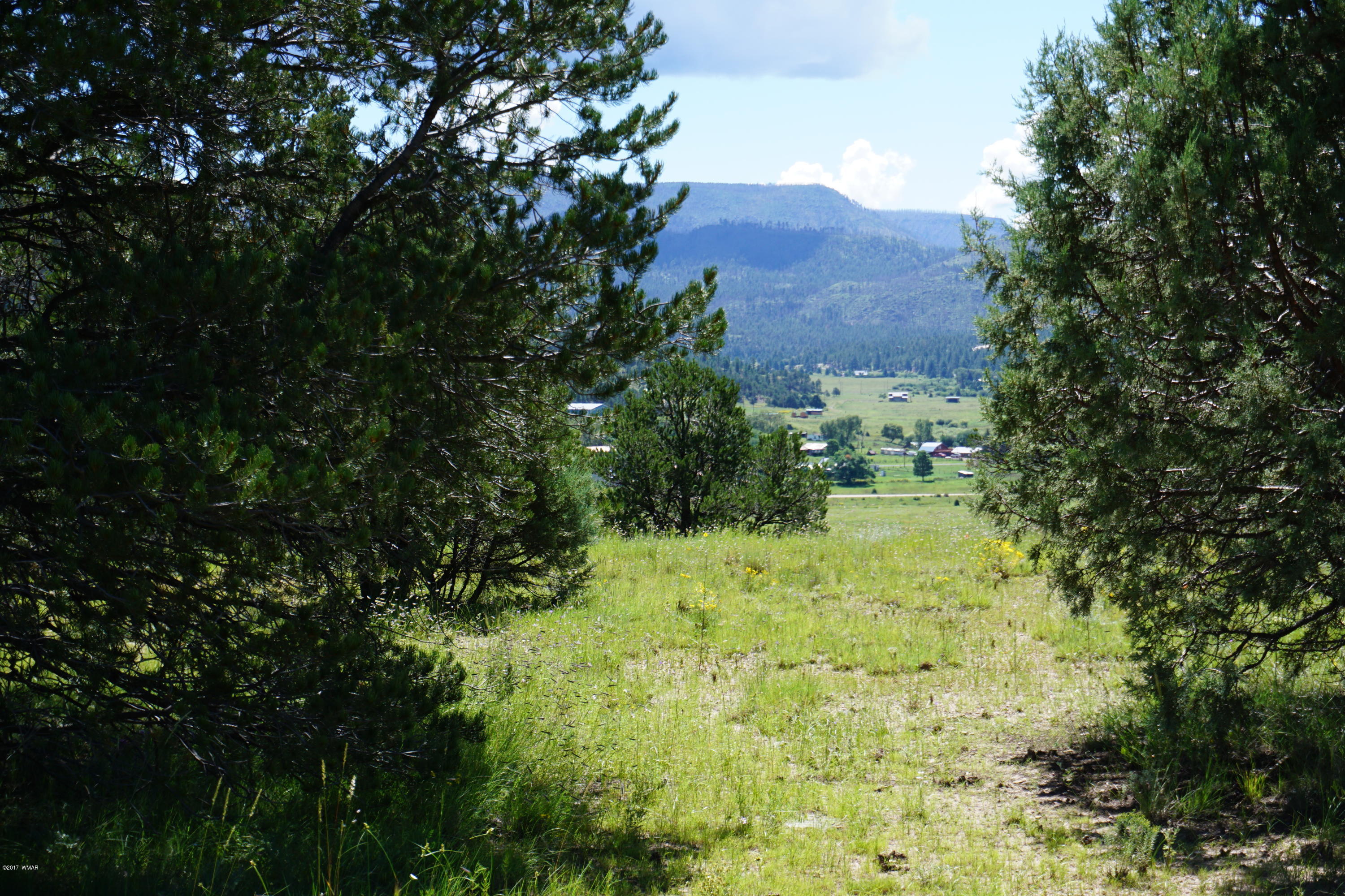 37 Co Road Springerville, AZ 85938 - Photo 24 of 37