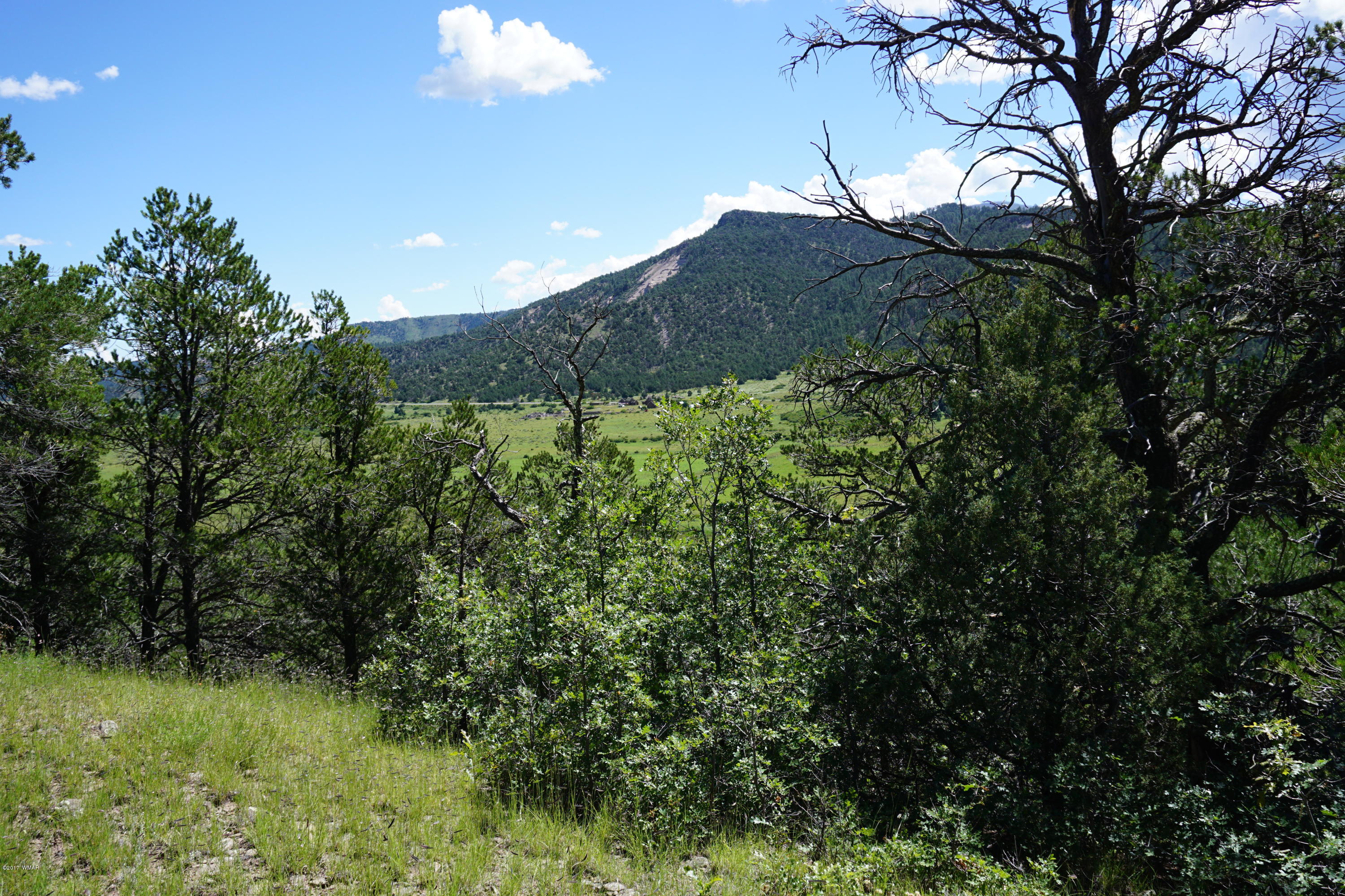 37 Co Road Springerville, AZ 85938 - Photo 25 of 37