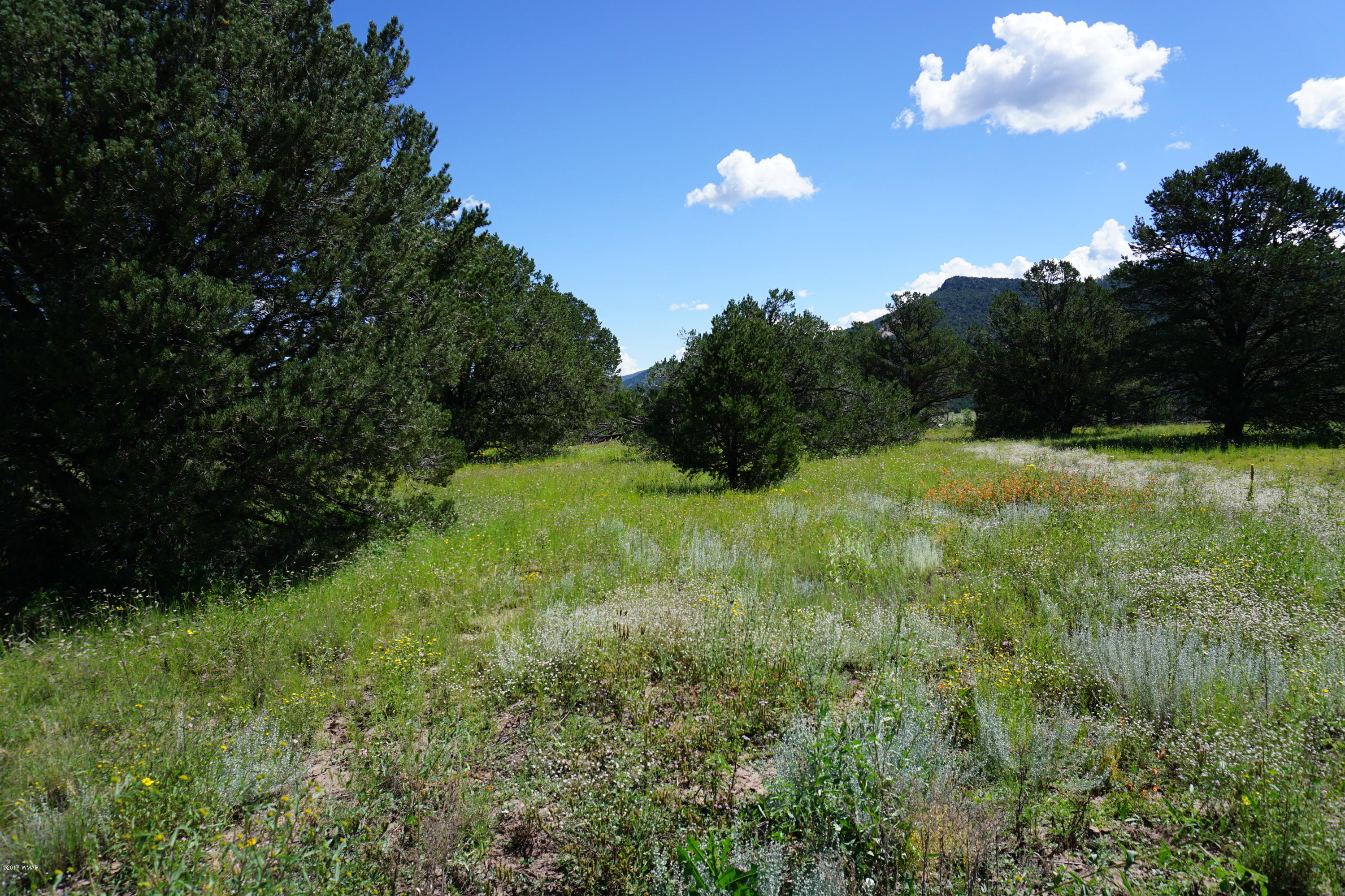 37 Co Road Springerville, AZ 85938 - Photo 27 of 37