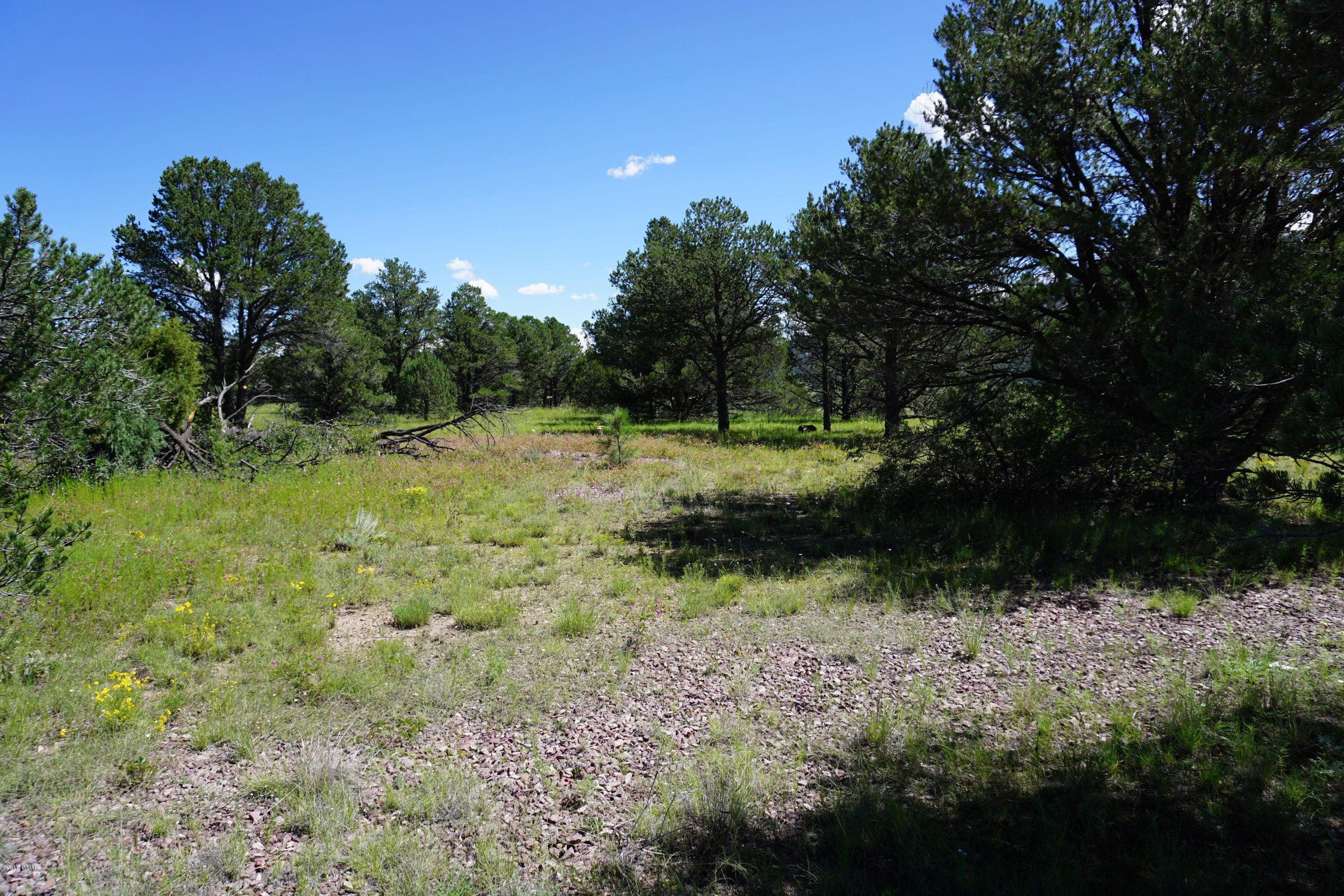 37 Co Road Springerville, AZ 85938 - Photo 28 of 37
