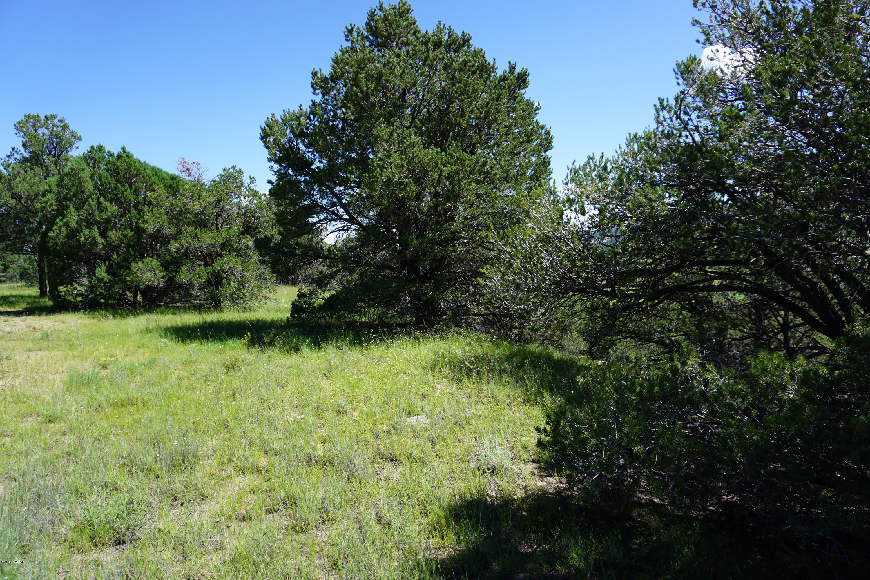 37 Co Road Springerville, AZ 85938 - Photo 29 of 37