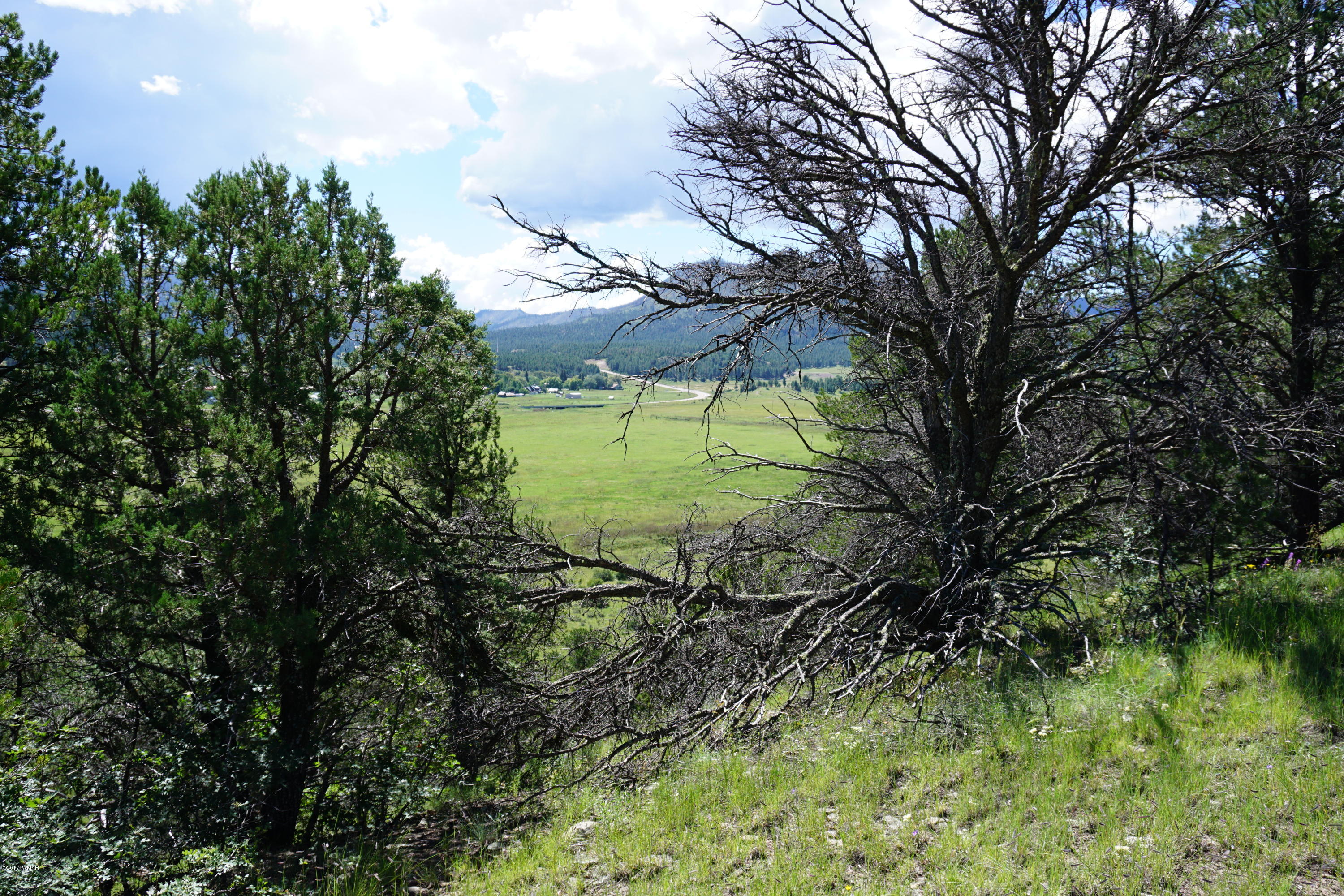 37 Co Road Springerville, AZ 85938 - Photo 30 of 37