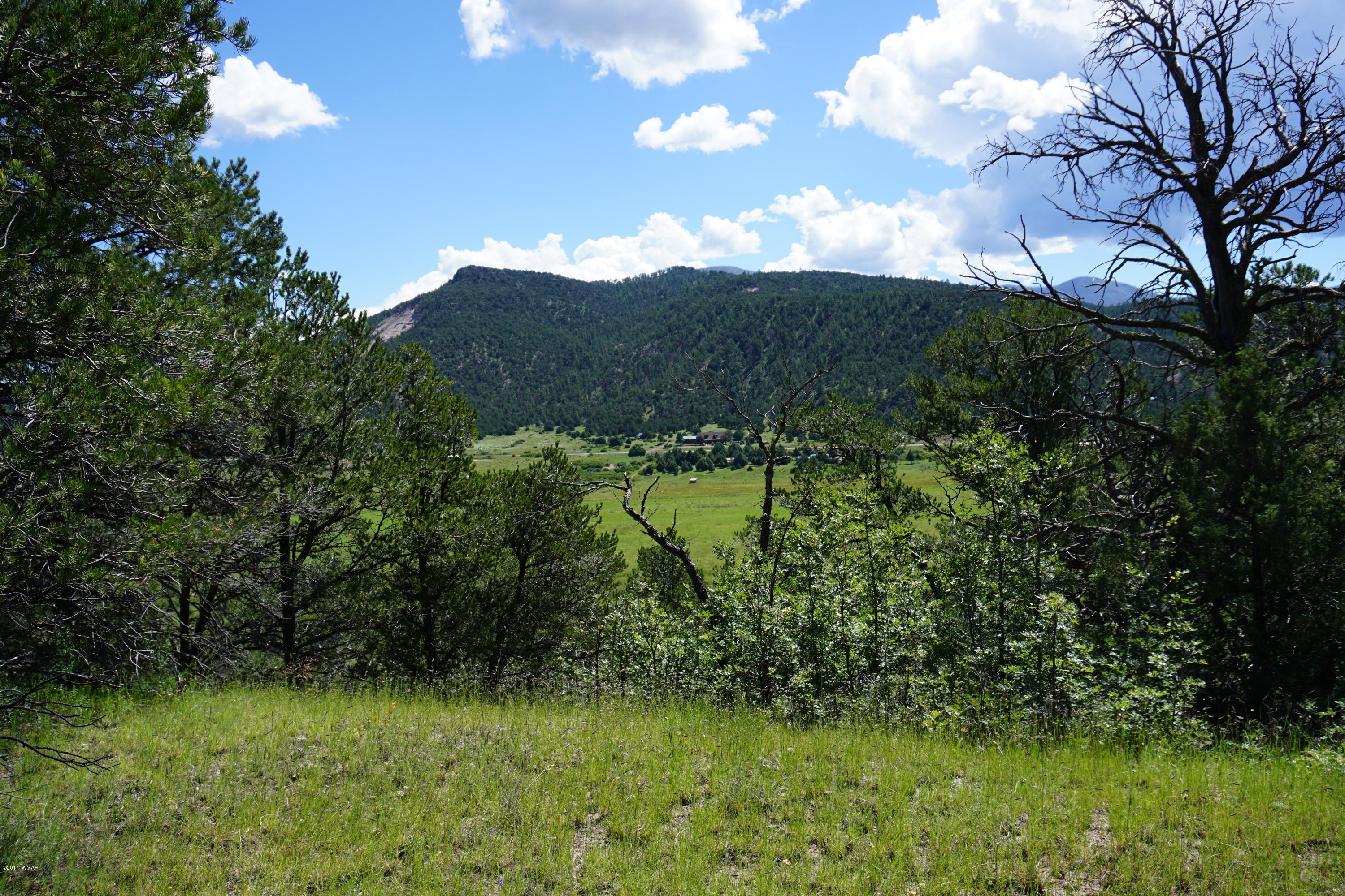 37 Co Road Springerville, AZ 85938 - Photo 3 of 37