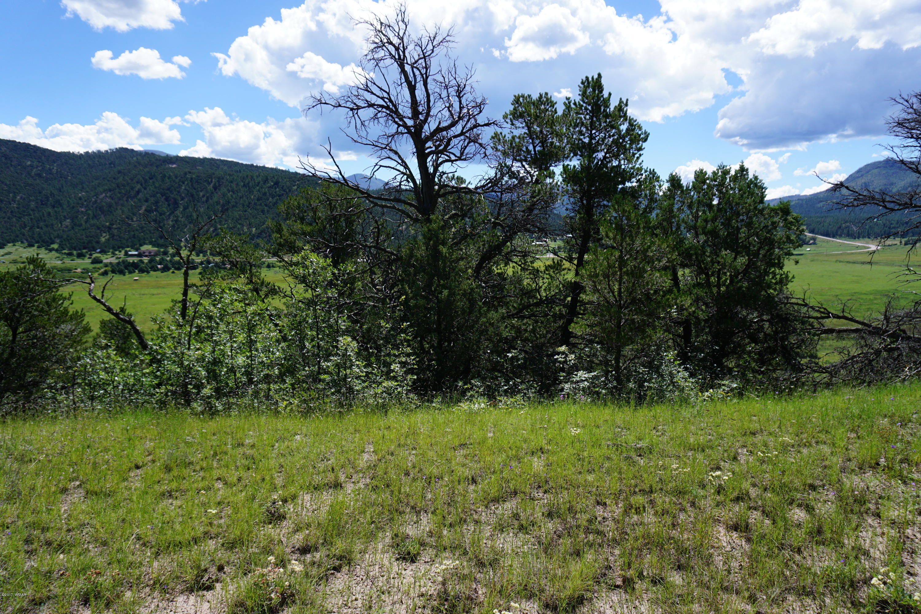 37 Co Road Springerville, AZ 85938 - Photo 31 of 37
