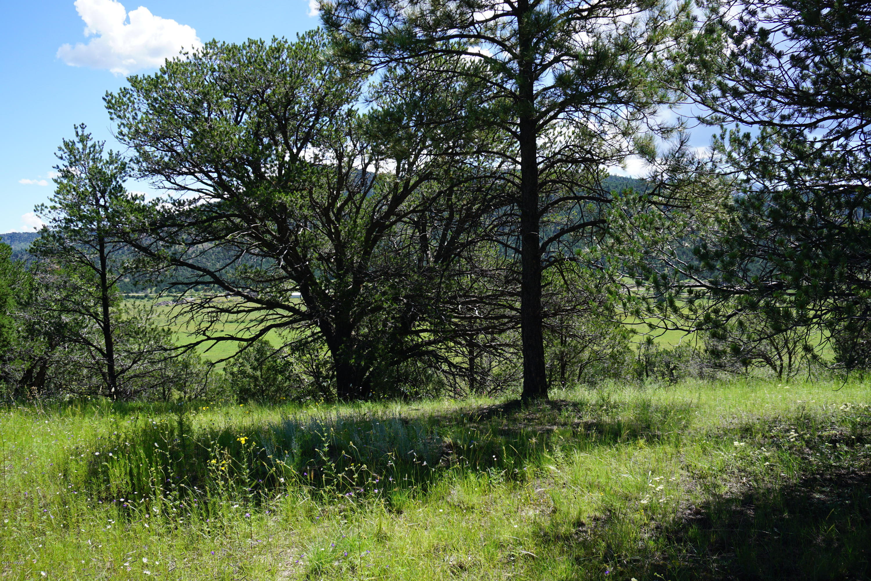 37 Co Road Springerville, AZ 85938 - Photo 32 of 37