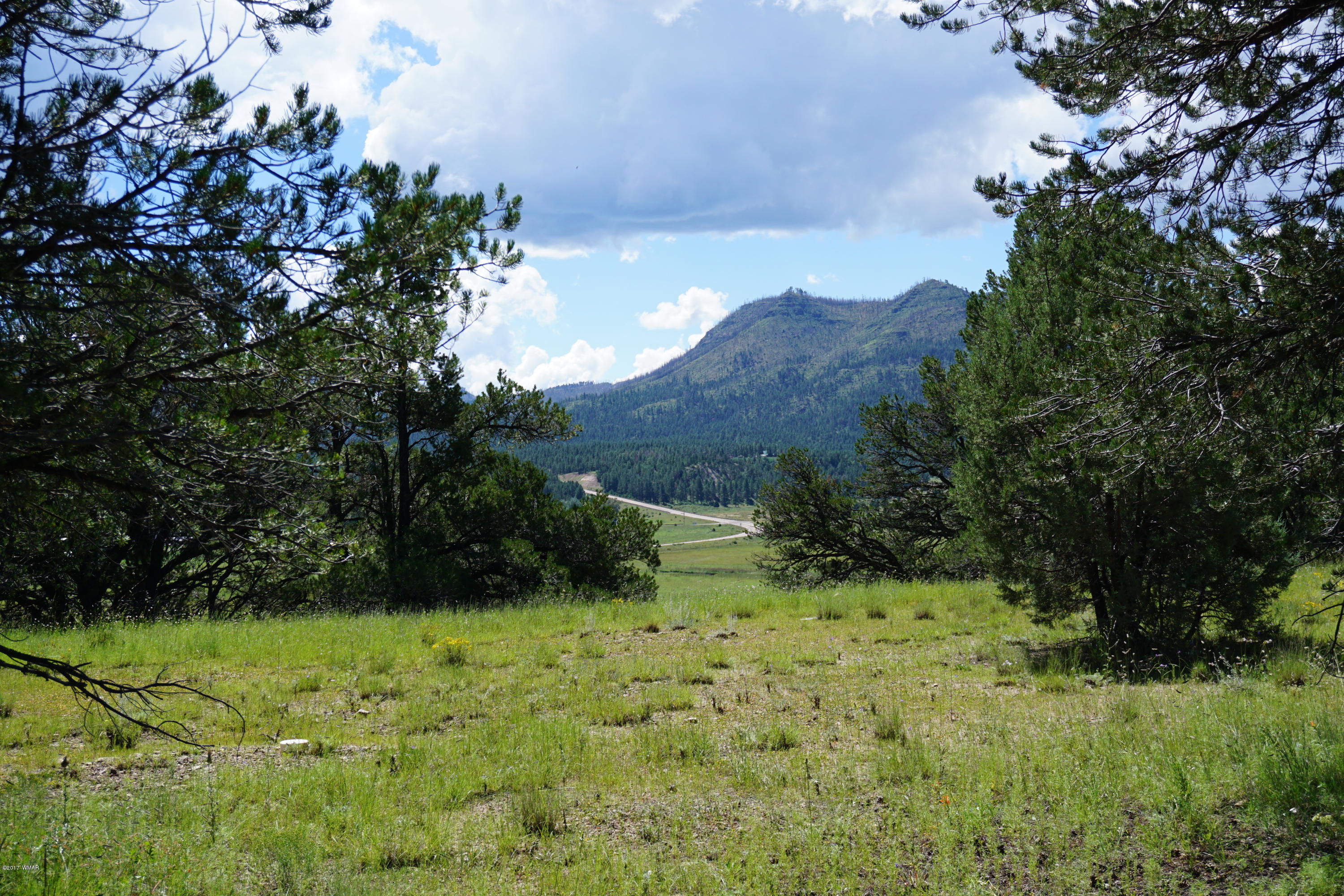 37 Co Road Springerville, AZ 85938 - Photo 35 of 37