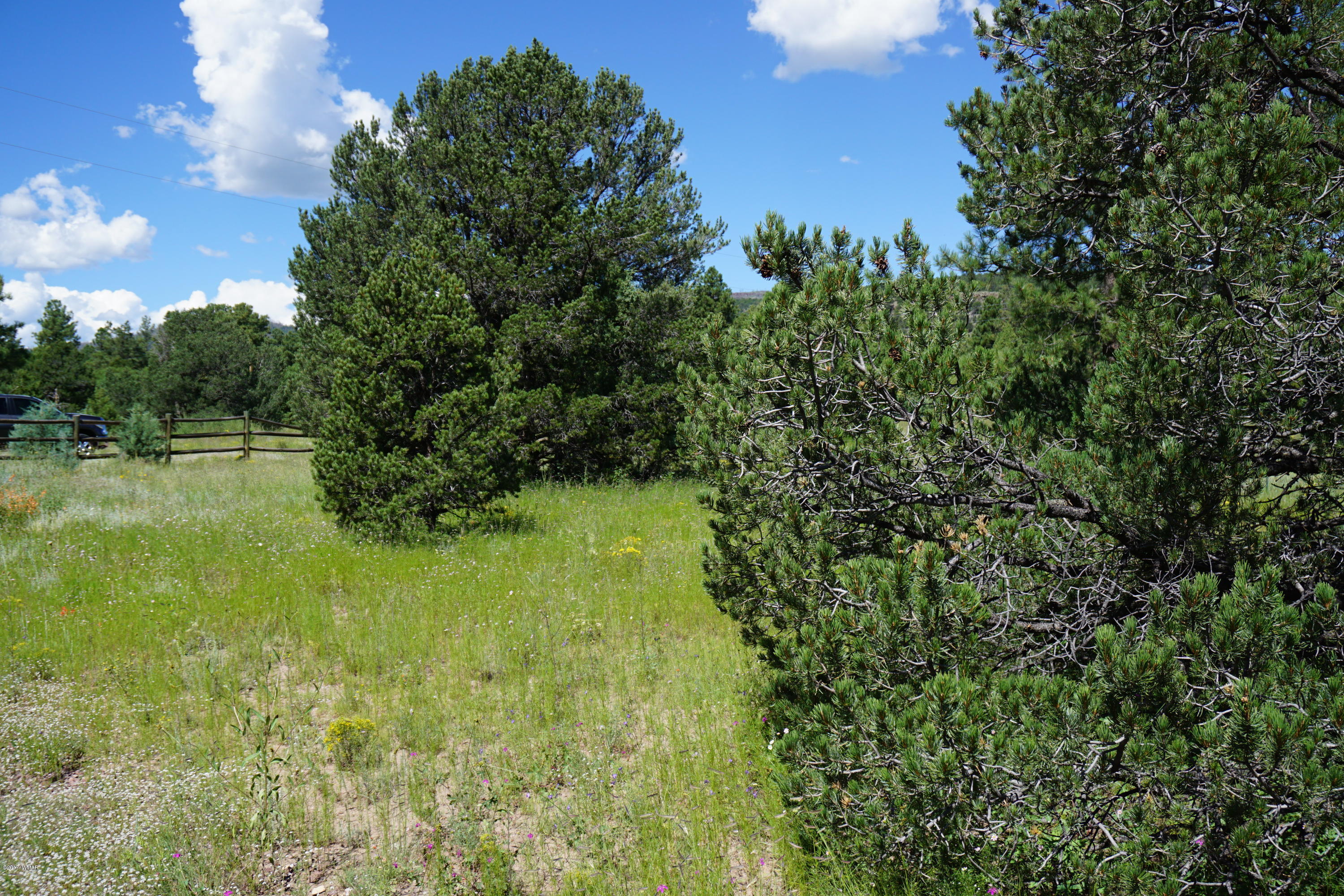 37 Co Road Springerville, AZ 85938 - Photo 36 of 37