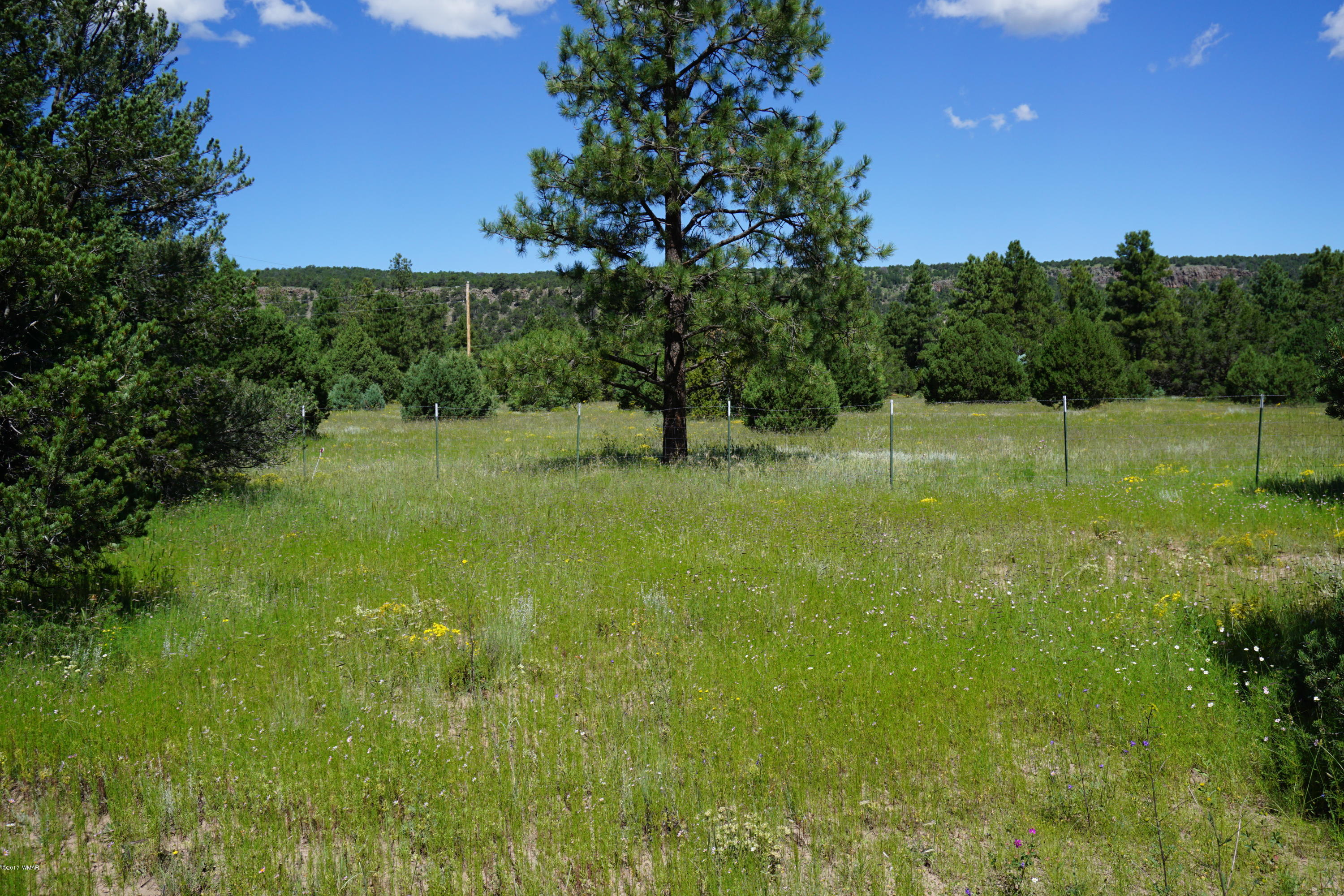 37 Co Road Springerville, AZ 85938 - Photo 37 of 37