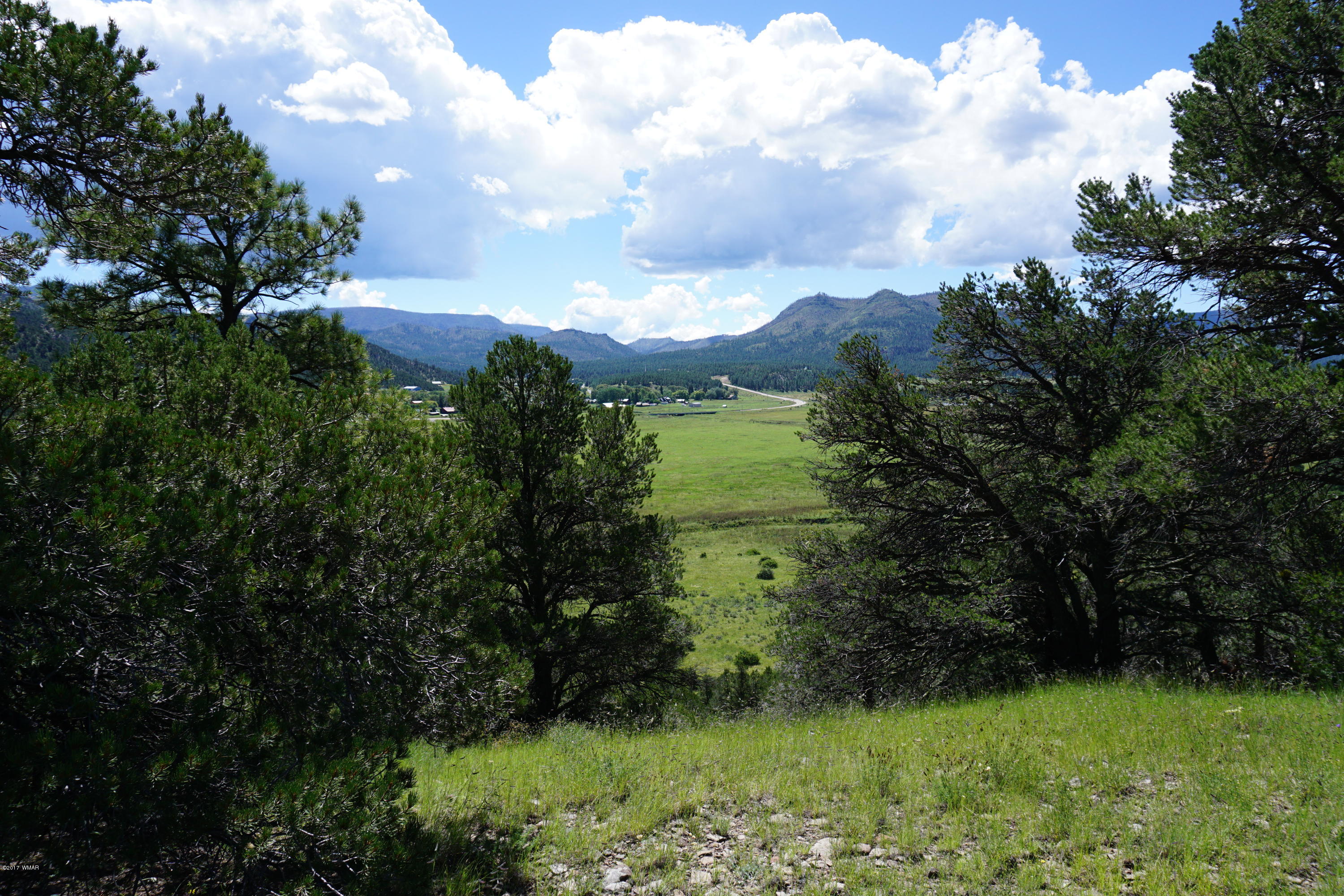 37 Co Road Springerville, AZ 85938 - Photo 5 of 37