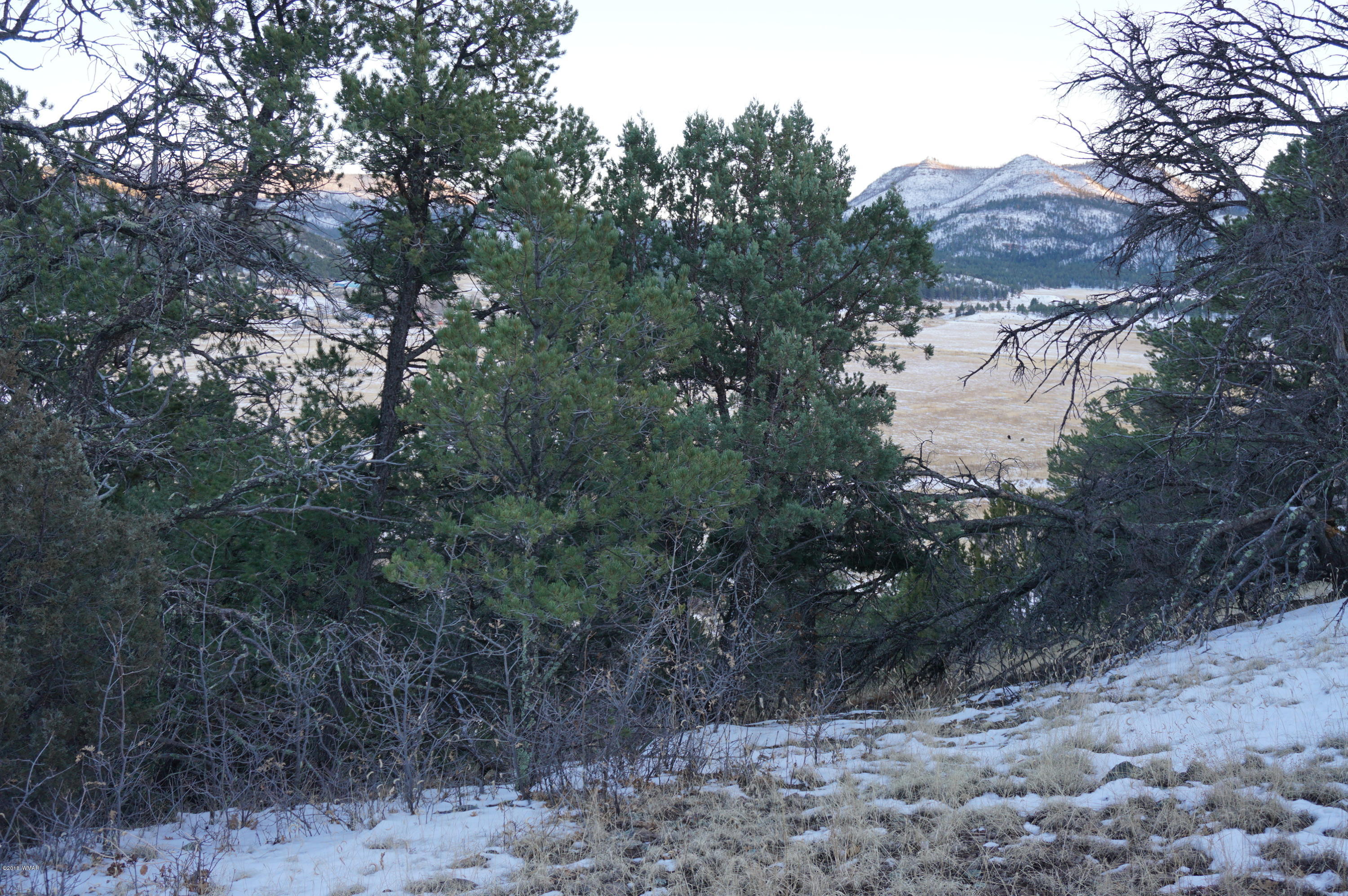 37 Co Road Springerville, AZ 85938 - Photo 6 of 37