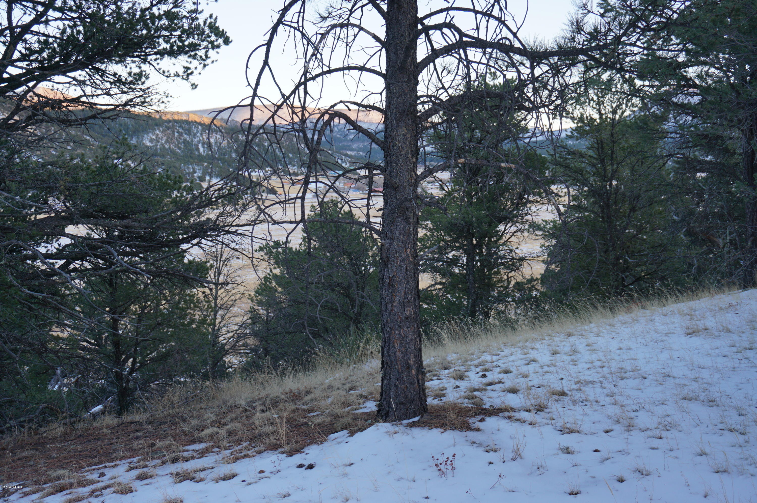 37 Co Road Springerville, AZ 85938 - Photo 7 of 37