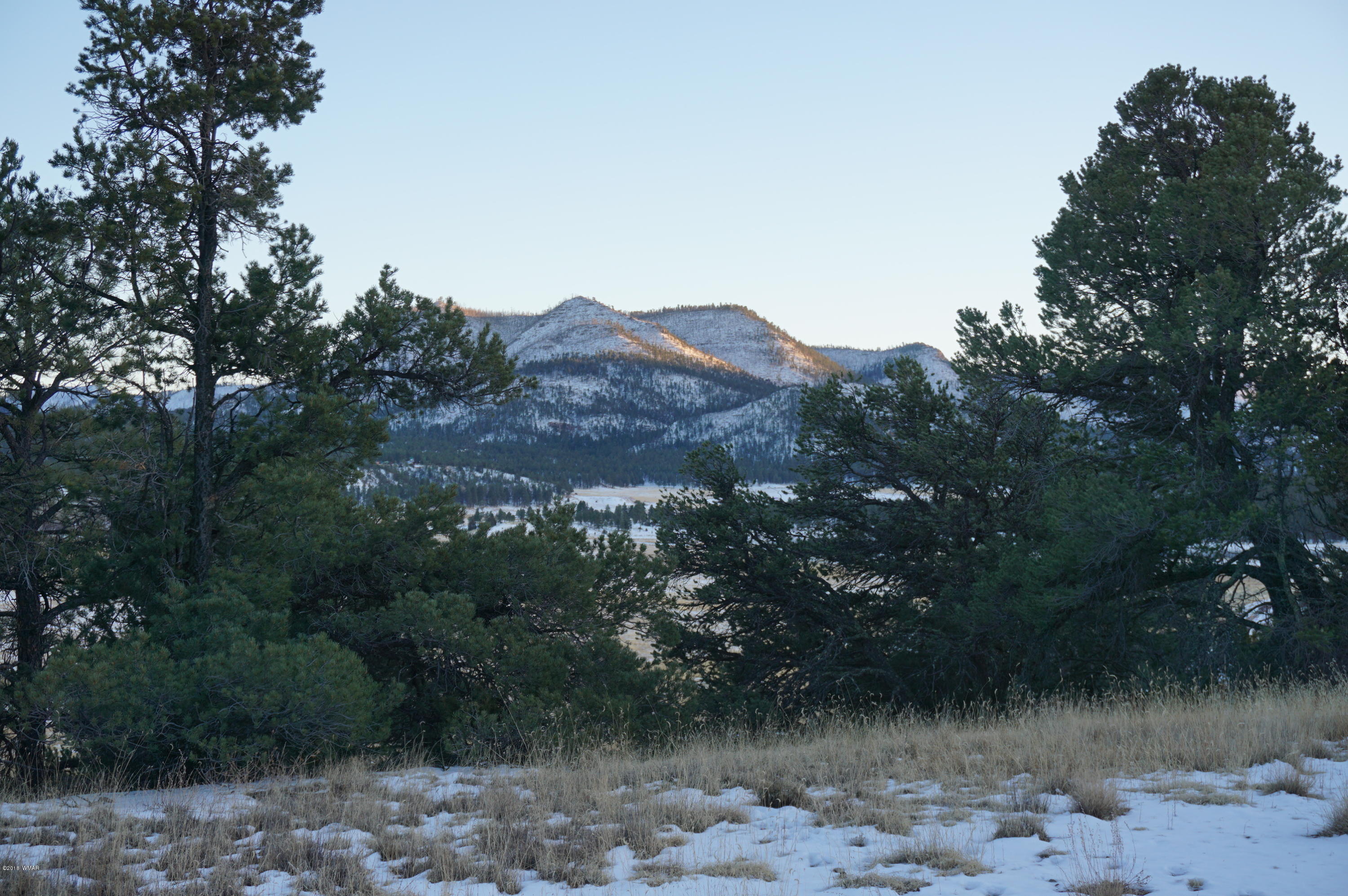 37 Co Road Springerville, AZ 85938 - Photo 8 of 37