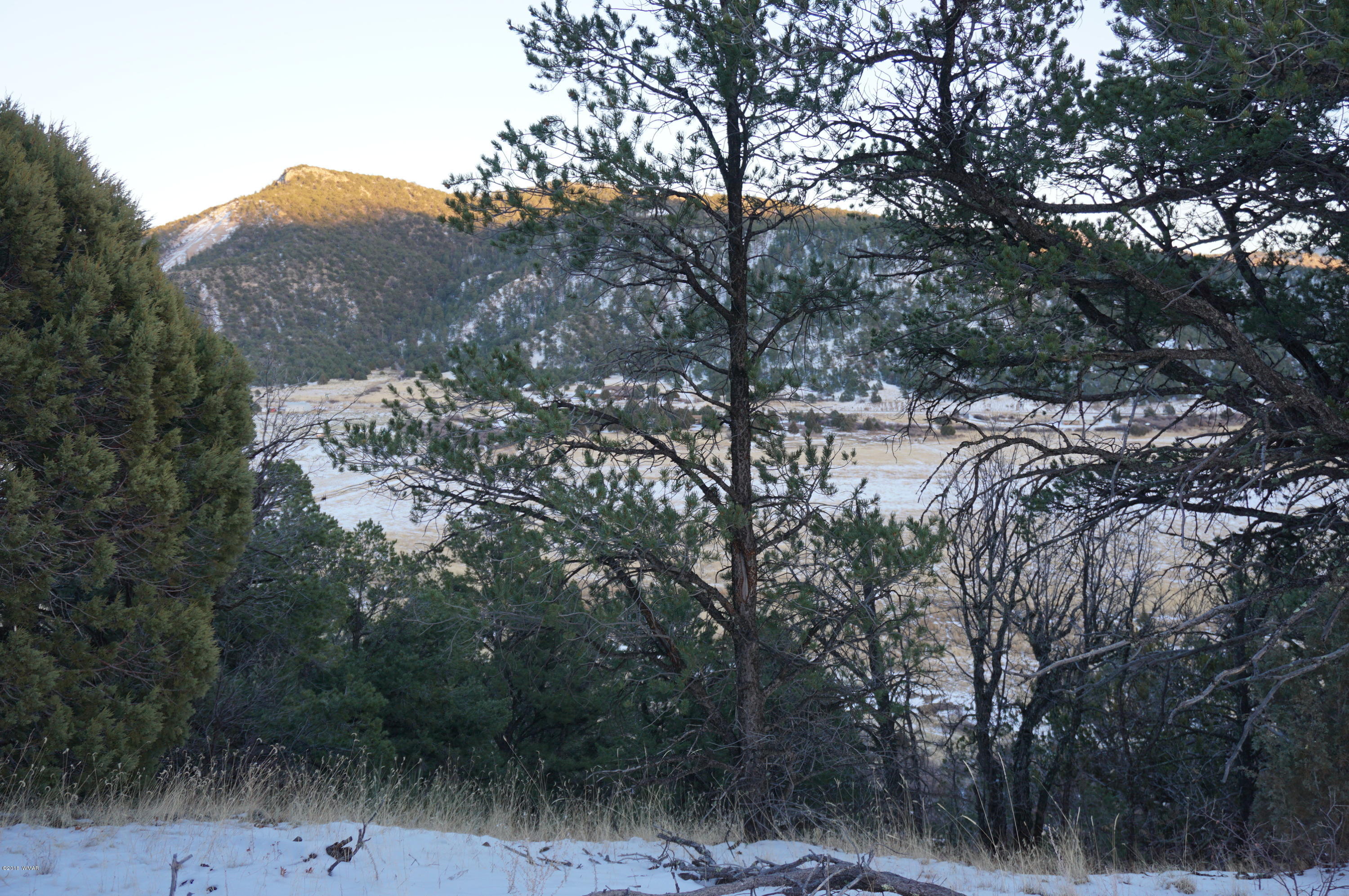 37 Co Road Springerville, AZ 85938 - Photo 9 of 37