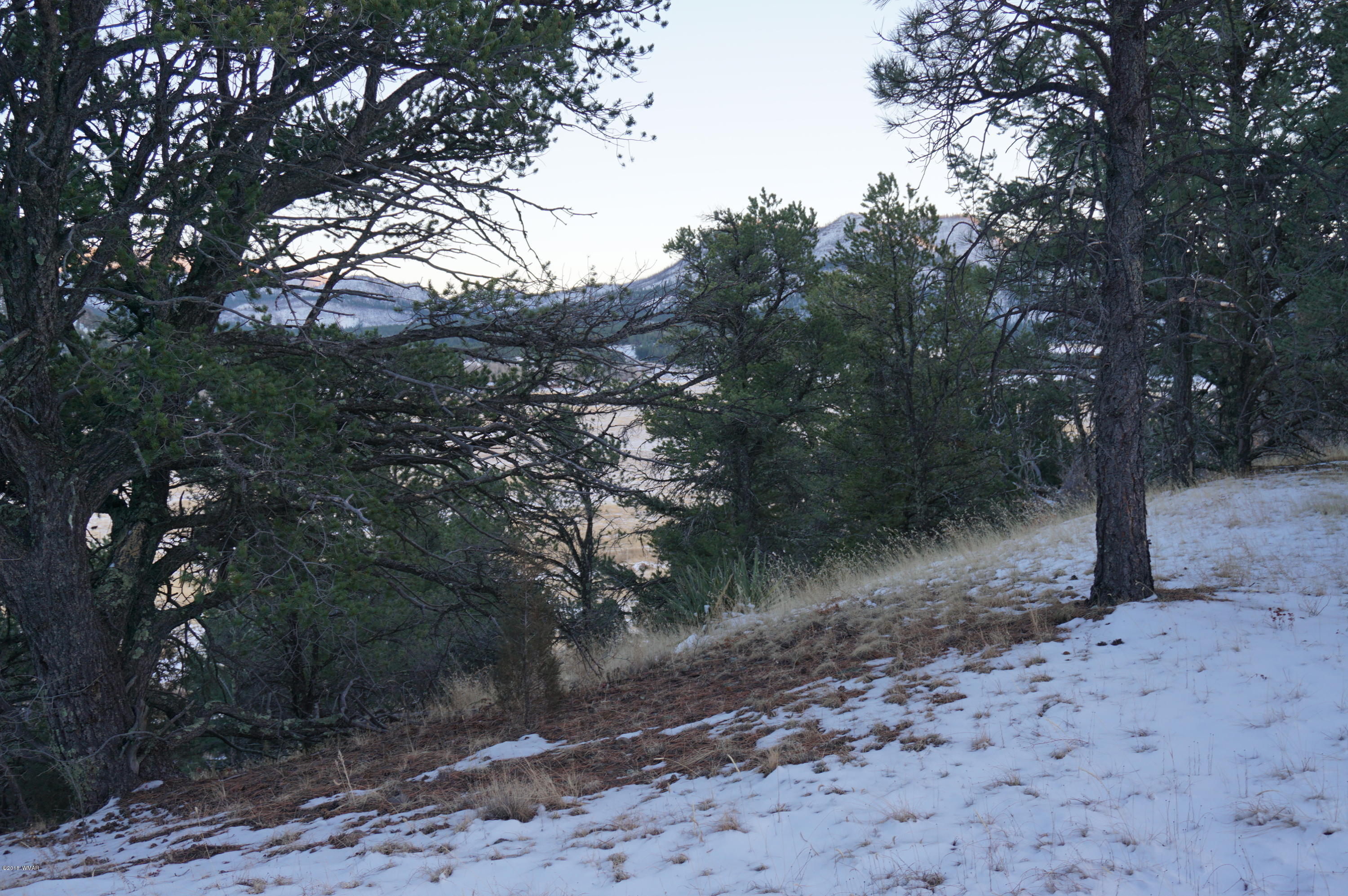37 Co Road Springerville, AZ 85938 - Photo 10 of 37