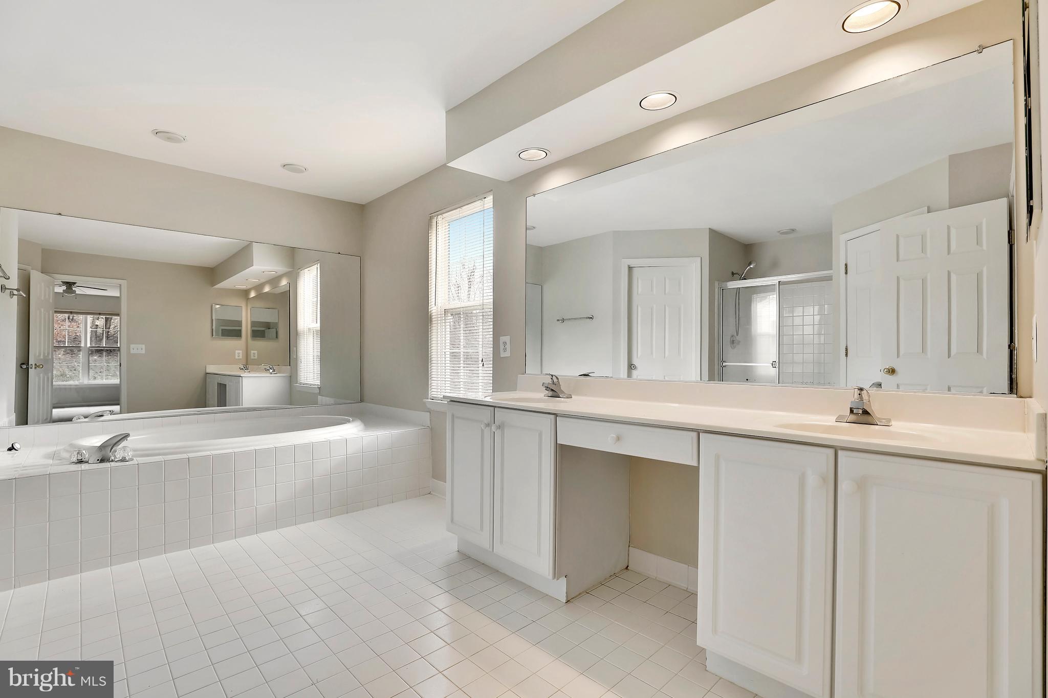 8552 Ellicott View Road Ellicott City, MD 21043 - Photo 22 of 30 Magnificent Master Bathroom