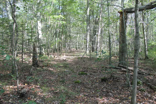 a view of outdoor space and green space
