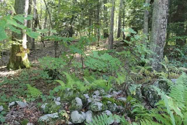 $879,500 | 275 Highway 148, Killingworth, CT 06419