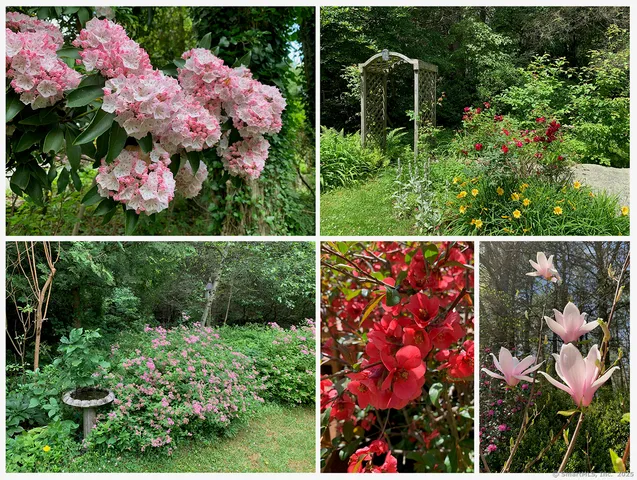 a view of yard with flowers and flowers