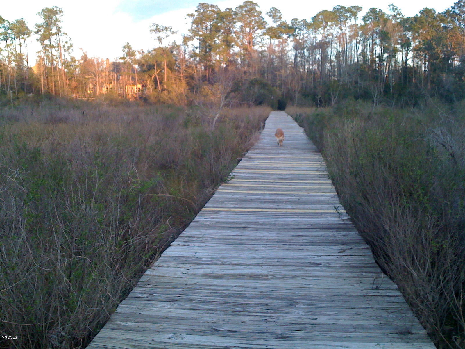 9153 Ridge Road Gulfport, MS 39503 - Photo 26 of 28 IMG_0014