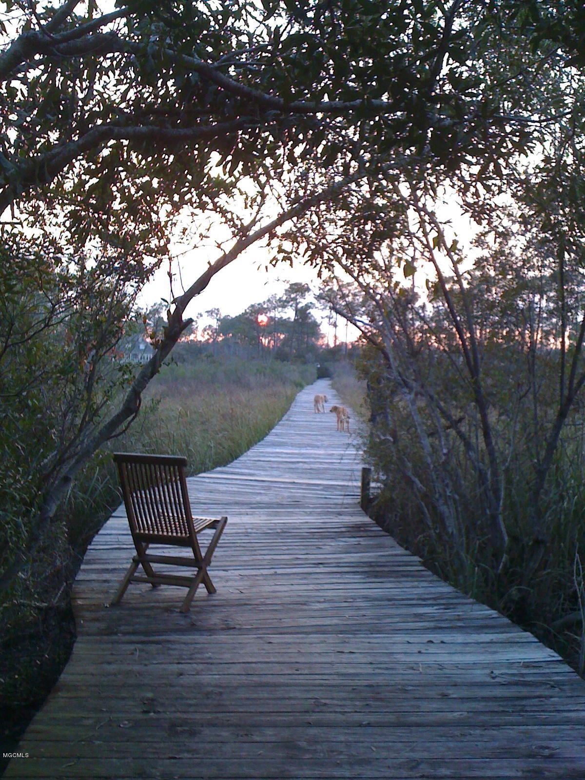 9153 Ridge Road Gulfport, MS 39503 - Photo 27 of 28 IMG_0484