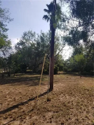 a view of a field with trees