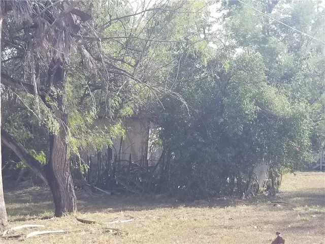 a view of a yard covered with snow in the background