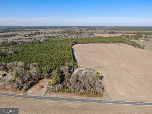 $925,000 | 0 Old Furnace Road, Snow Hill, MD 21863