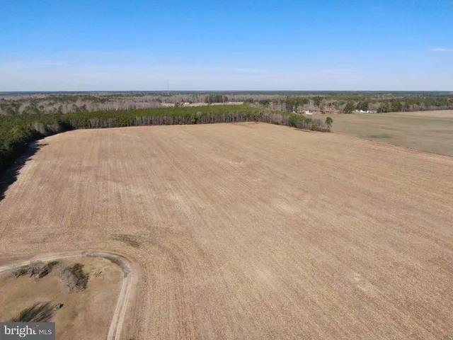 $925,000 | 0 Old Furnace Road, Snow Hill, MD 21863