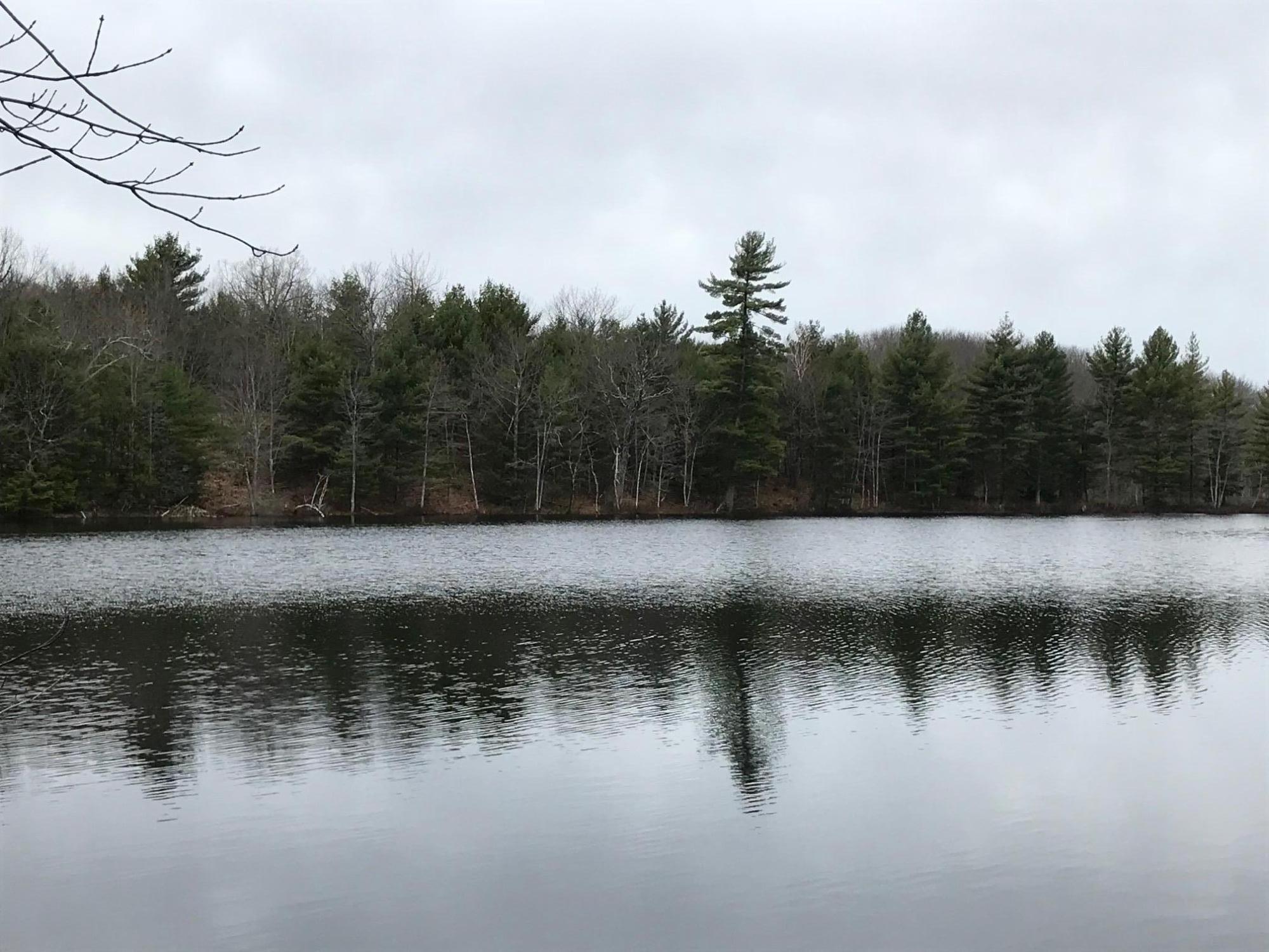 Tbd Fryes Bridge Road Lyman, ME 04002 - Photo 4 of 6 shorefront