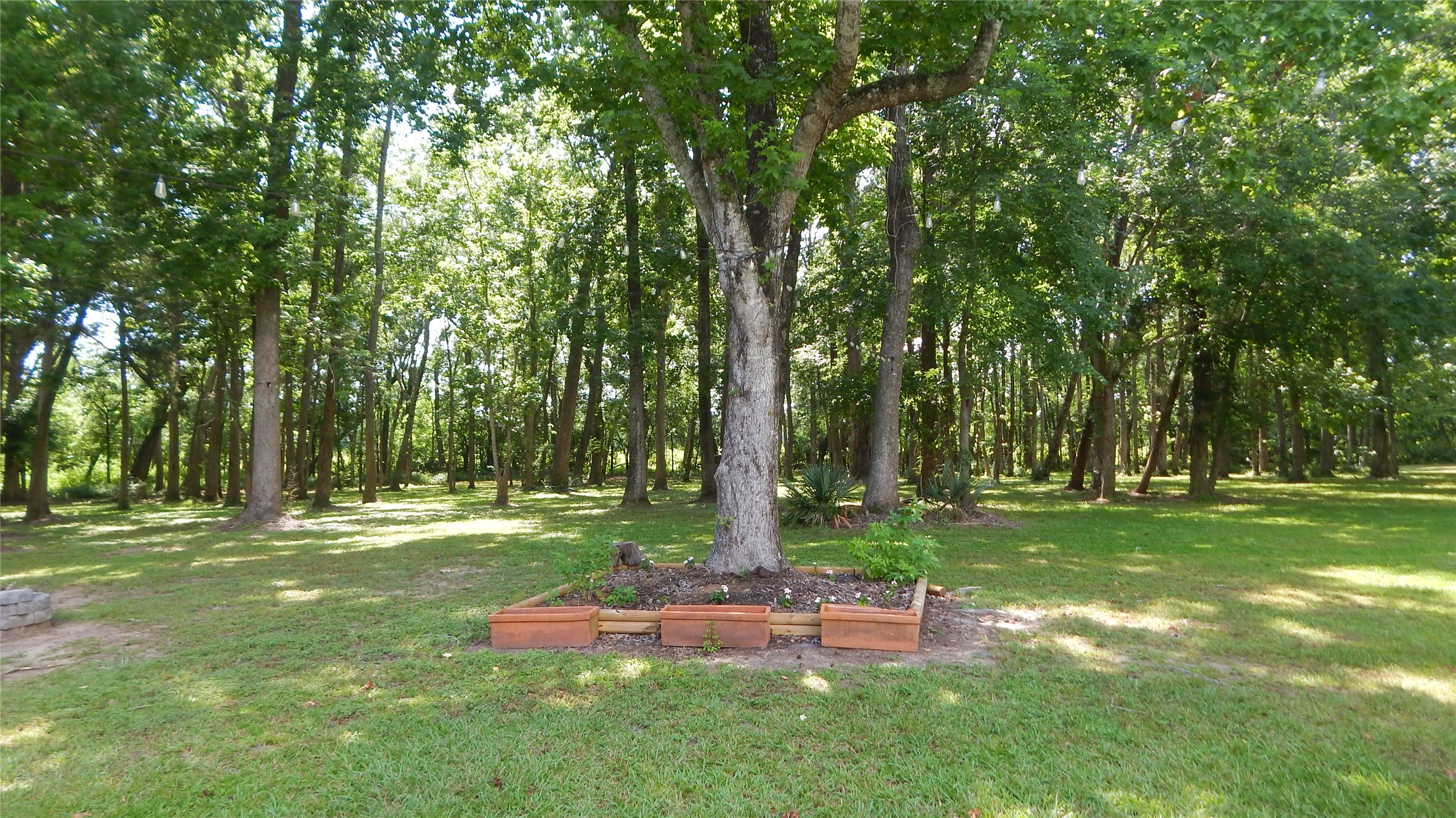 142 County Road 1332 Liberty, TX 77575 - Photo 25 of 50 a view of a park with large trees