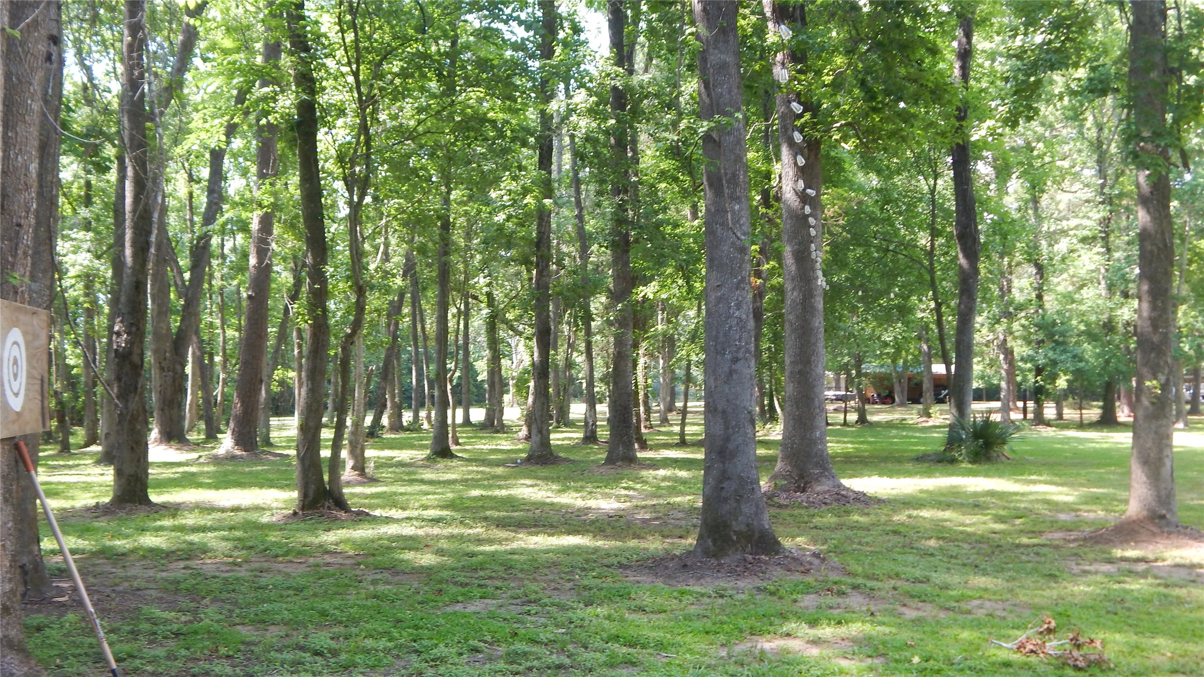 142 County Road 1332 Liberty, TX 77575 - Photo 27 of 50 a view of outdoor space with a garden