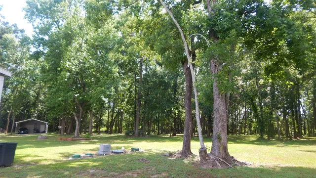 a view of a big yard with a bench
