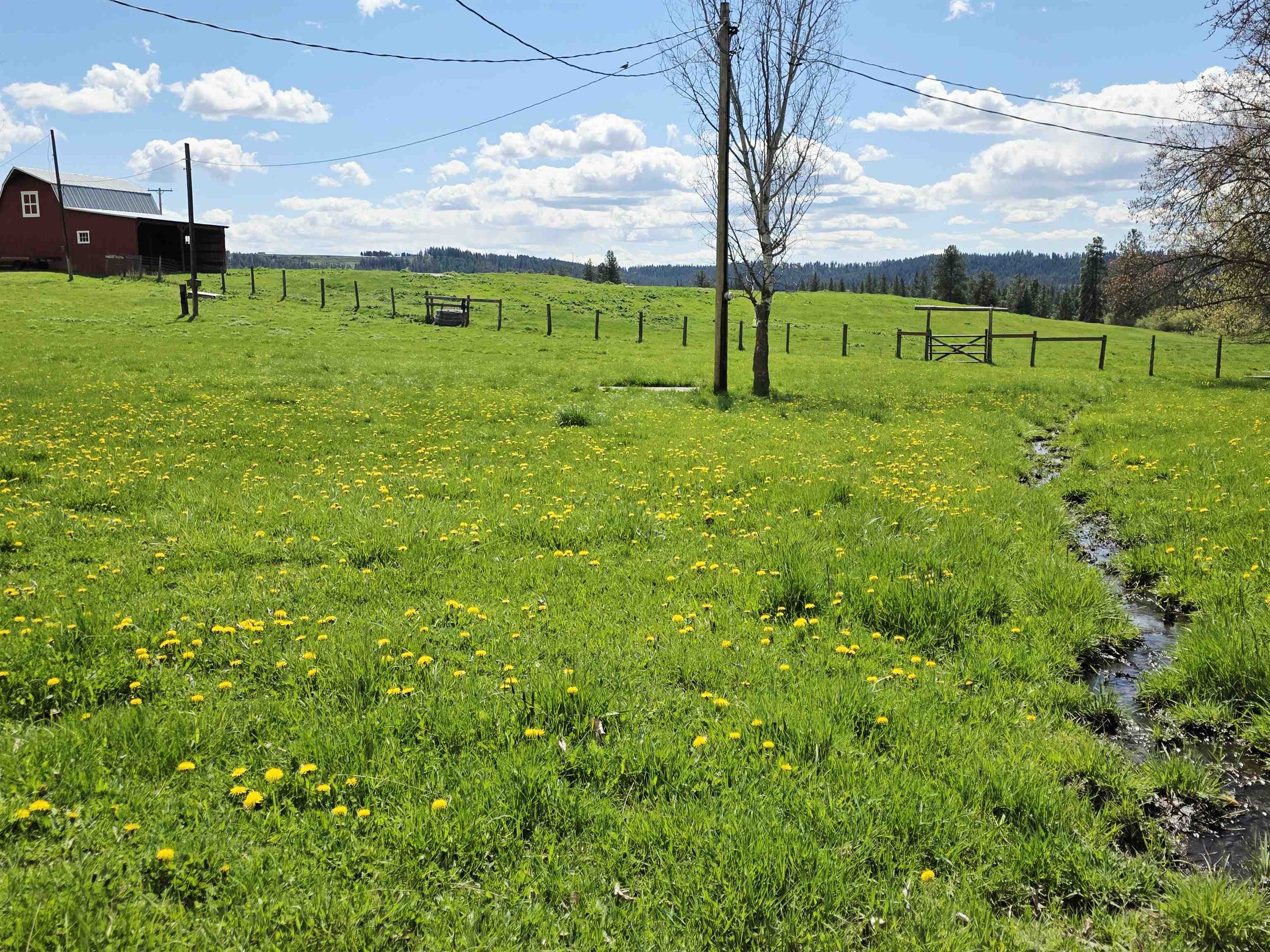 28628 North Dunn Road Chattaroy, WA 99003 - Photo 28 of 50