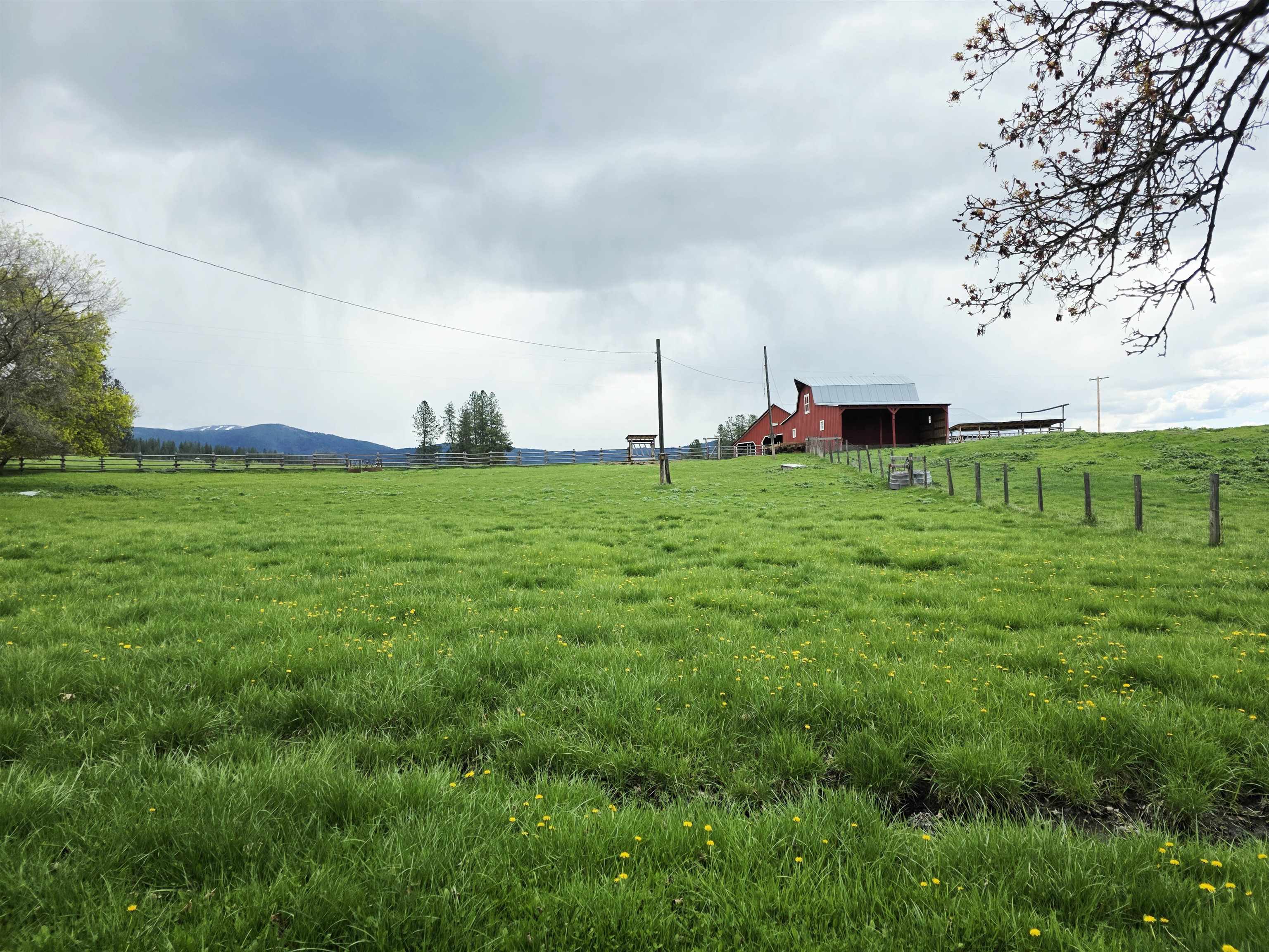 28628 North Dunn Road Chattaroy, WA 99003 - Photo 41 of 50
