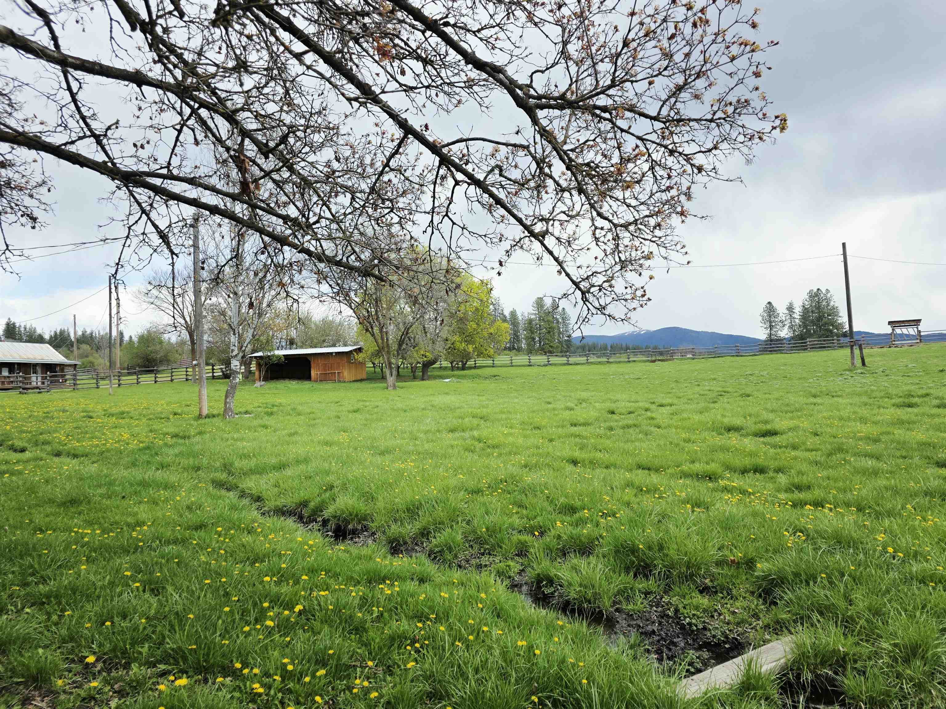 28628 North Dunn Road Chattaroy, WA 99003 - Photo 43 of 50