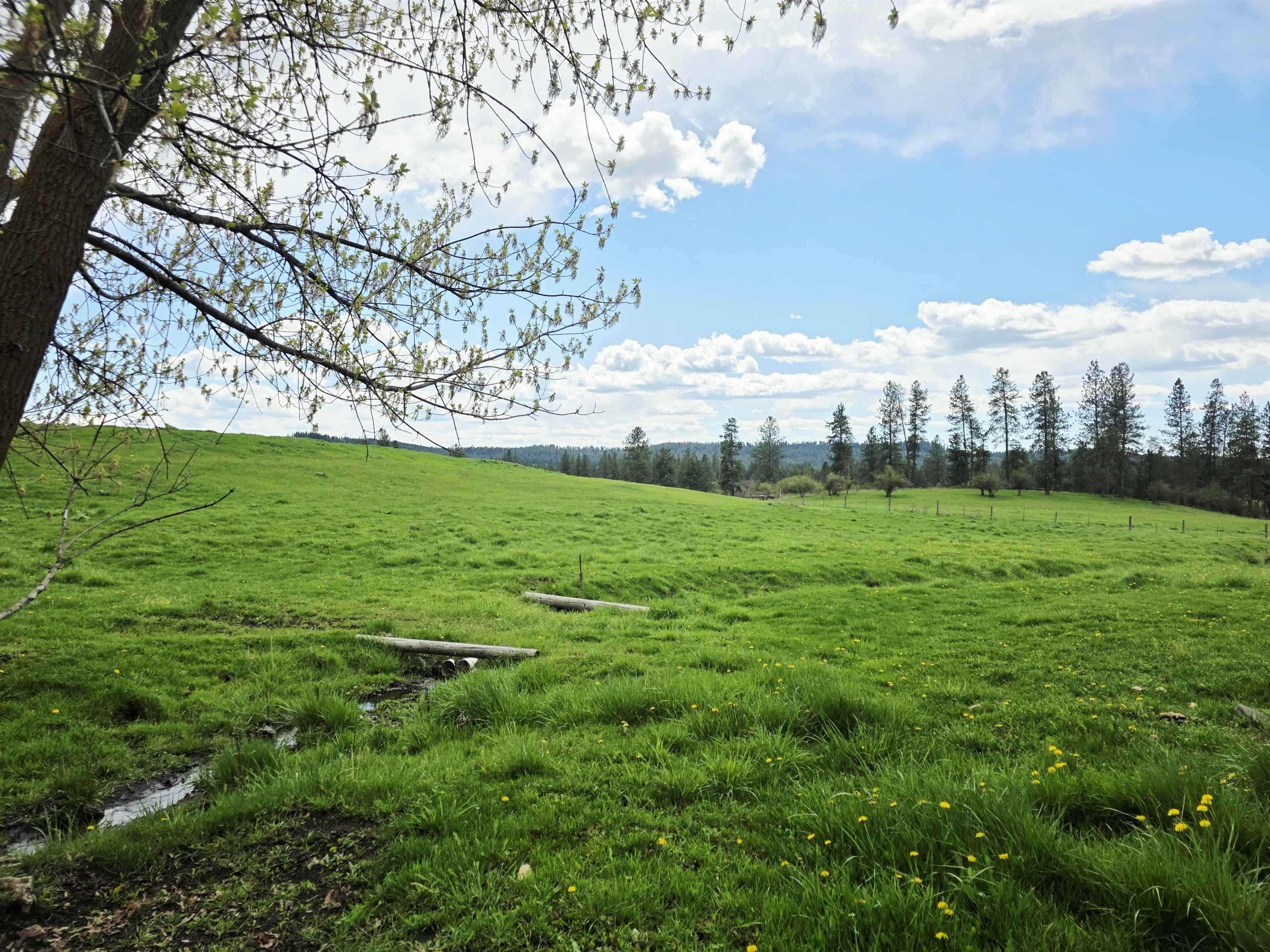 28628 North Dunn Road Chattaroy, WA 99003 - Photo 49 of 50