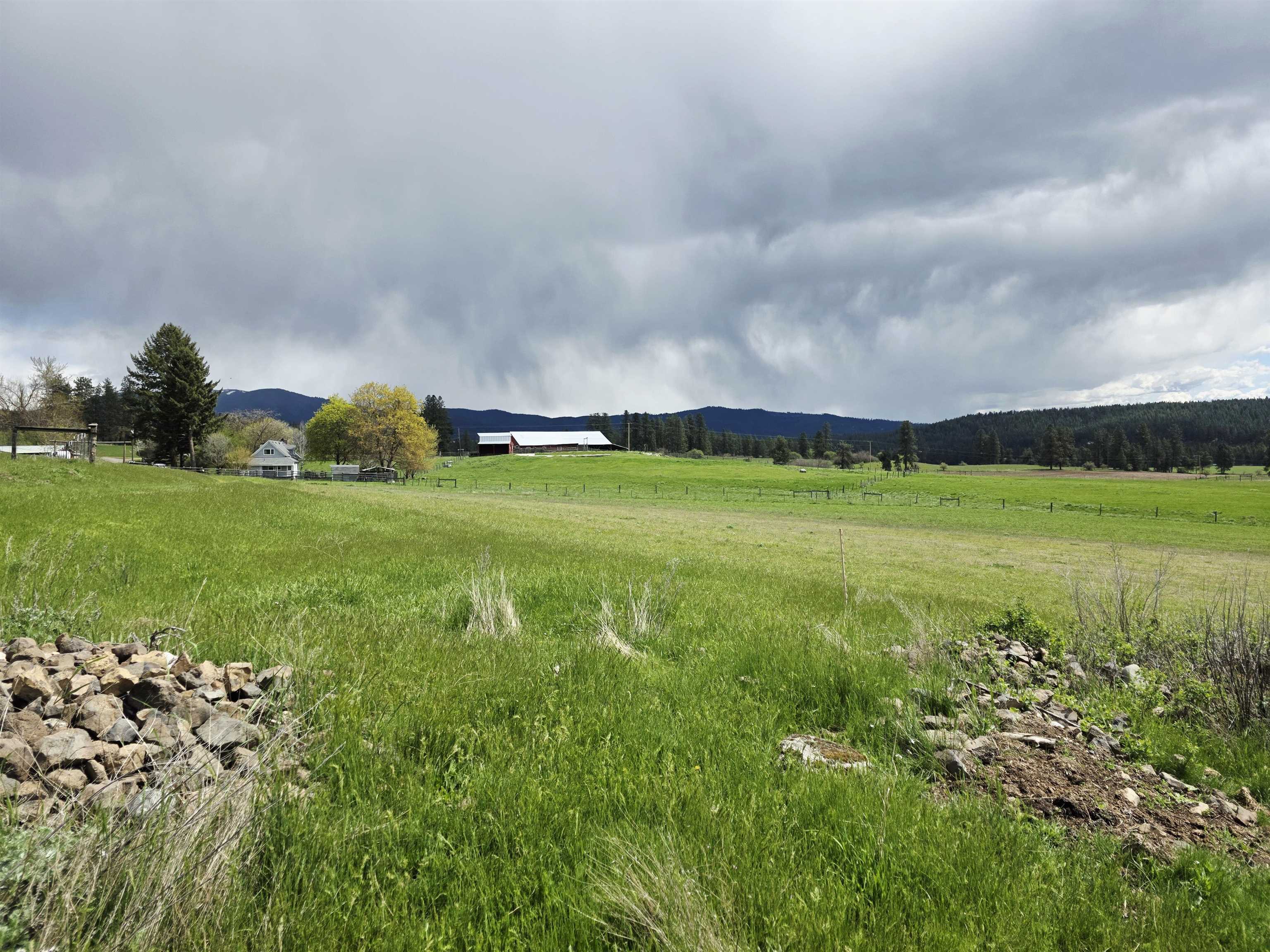 28628 North Dunn Road Chattaroy, WA 99003 - Photo 50 of 50