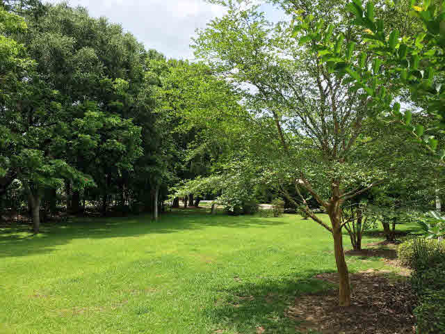20068 Pecan Trace Fairhope, AL 36532 - Photo 24 of 33 Backyard