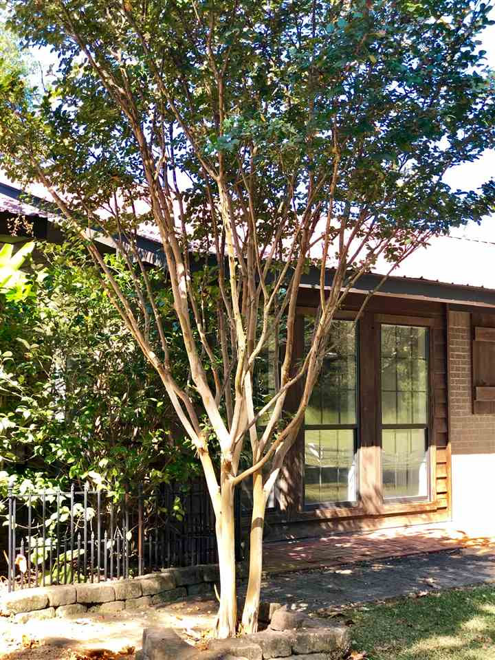 971 Reformation Road Carthage, MS 39051 - Photo 26 of 35 Photo 26