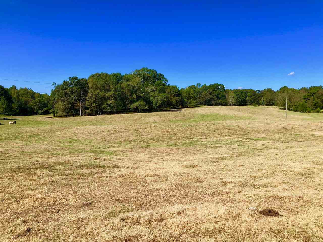 971 Reformation Road Carthage, MS 39051 - Photo 29 of 35 Photo 29