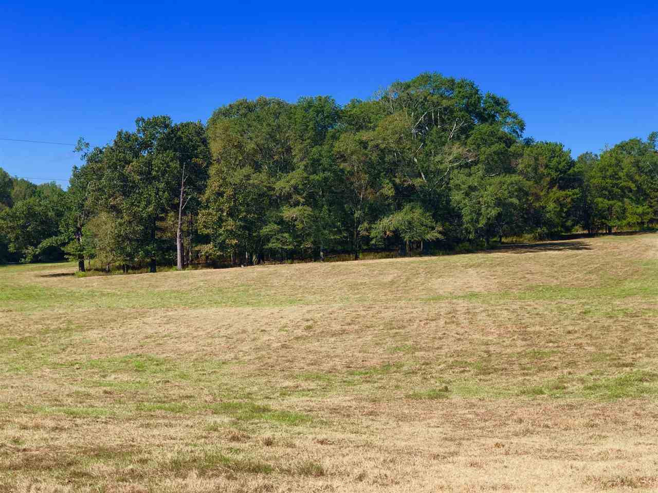 971 Reformation Road Carthage, MS 39051 - Photo 30 of 35 Photo 30