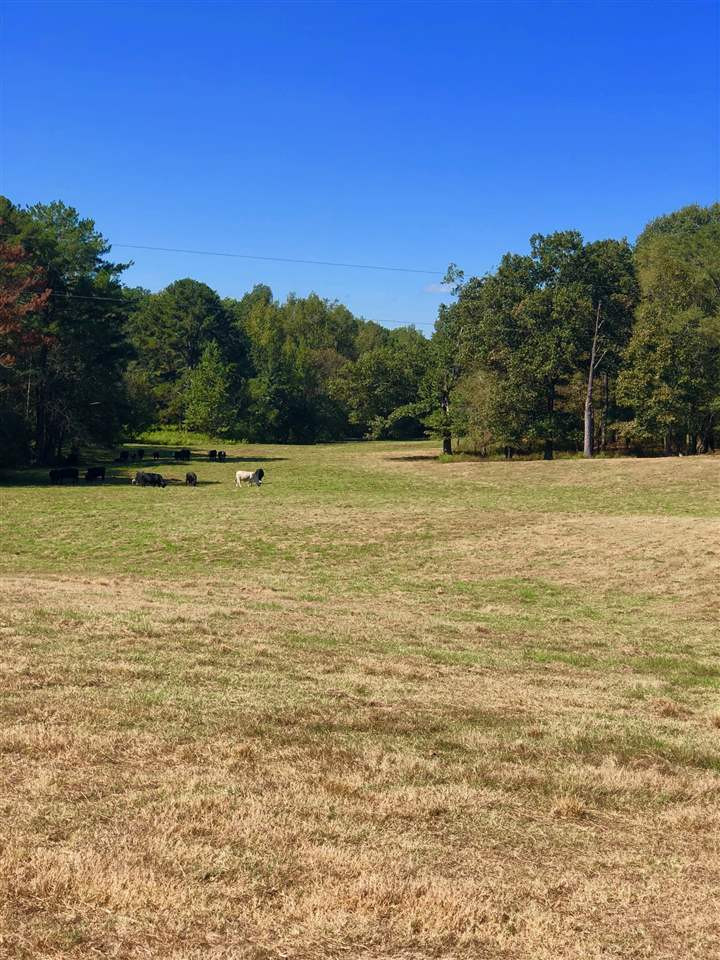 971 Reformation Road Carthage, MS 39051 - Photo 31 of 35 Photo 31