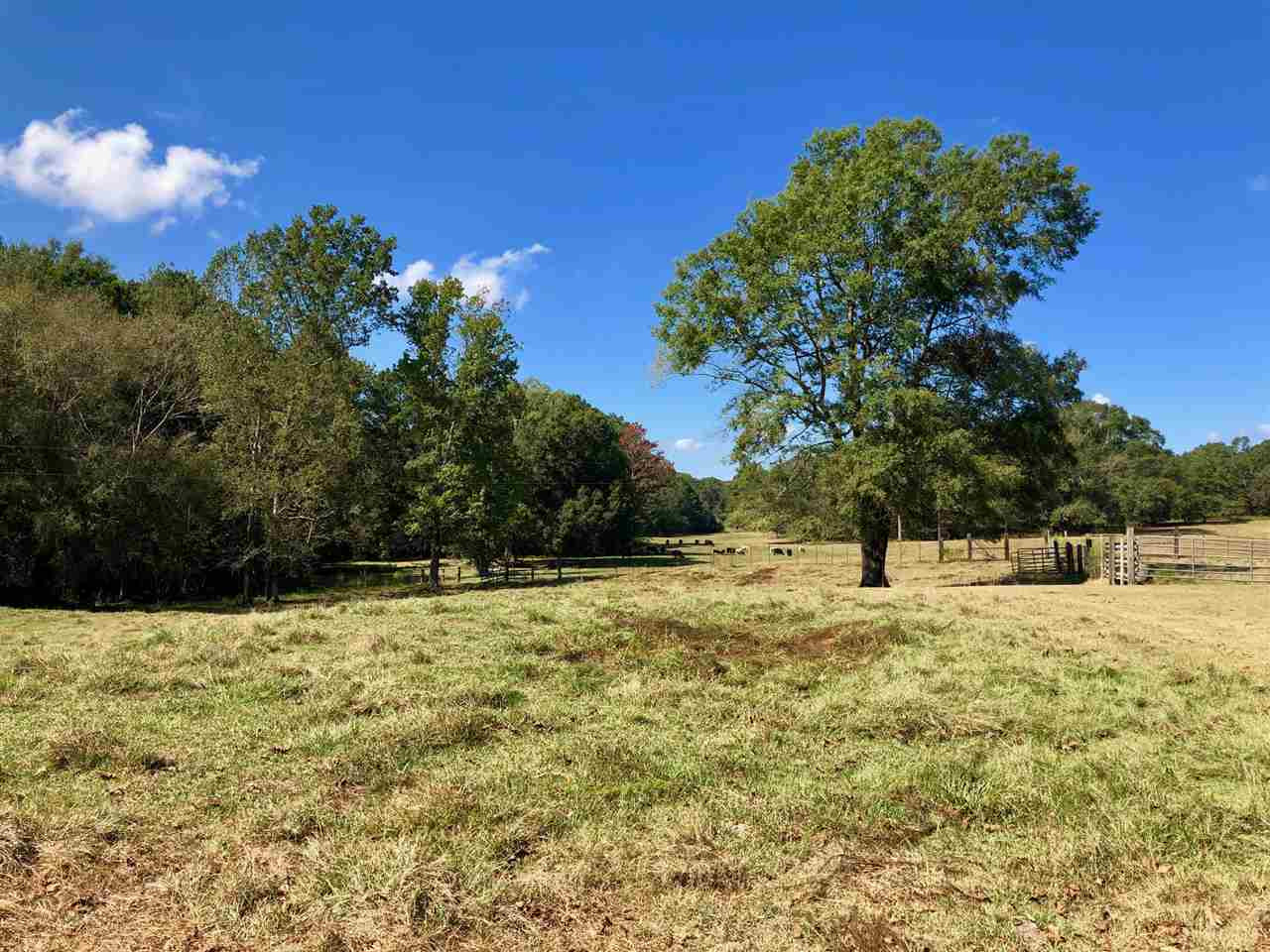971 Reformation Road Carthage, MS 39051 - Photo 32 of 35 Photo 32