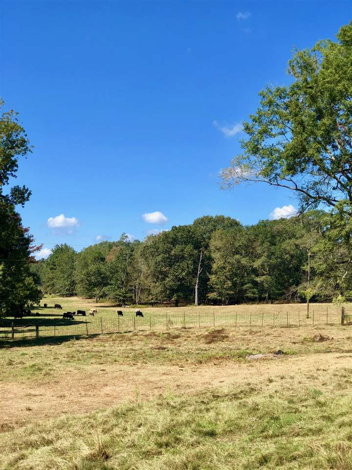 971 Reformation Road Carthage, MS 39051 - Photo 33 of 35 Photo 33