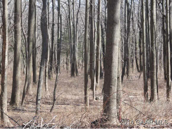 830 Mountain Road Afton, VA 22920 - Photo 17 of 20 Gallery Image 17