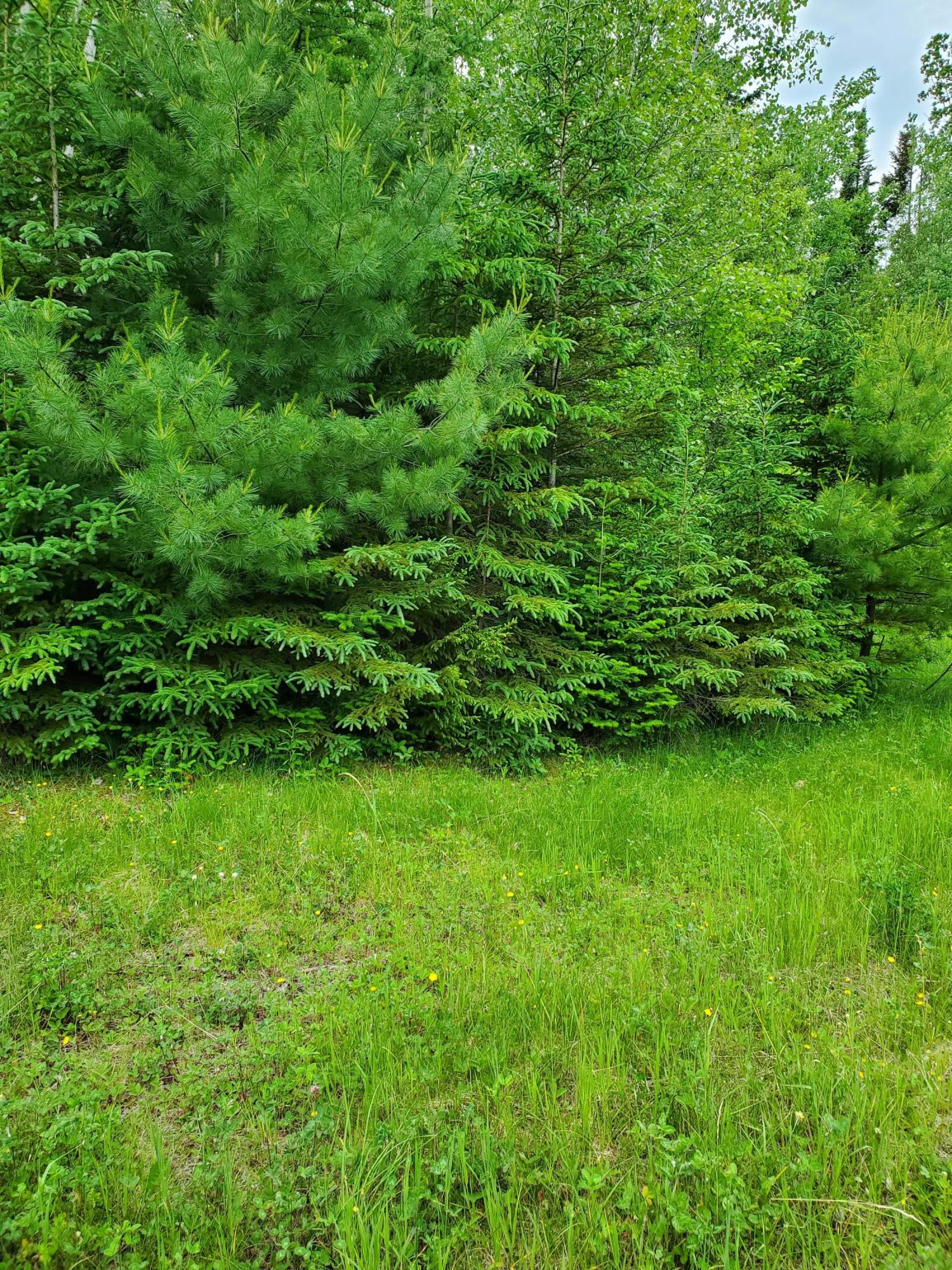 2291 Bancroft Road Wytopitlock, ME 04497 - Photo 2 of 14 20210614_150915